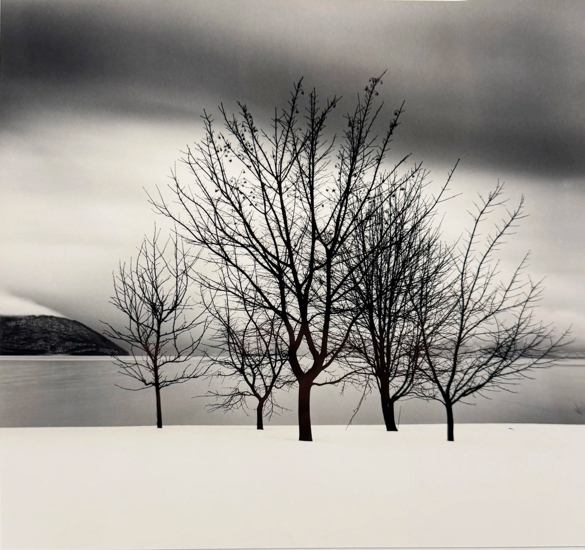 18903, Michael Kenna, Five Trees, Toya Lake, Hokkaido, Japan, 2004, printed 2005
