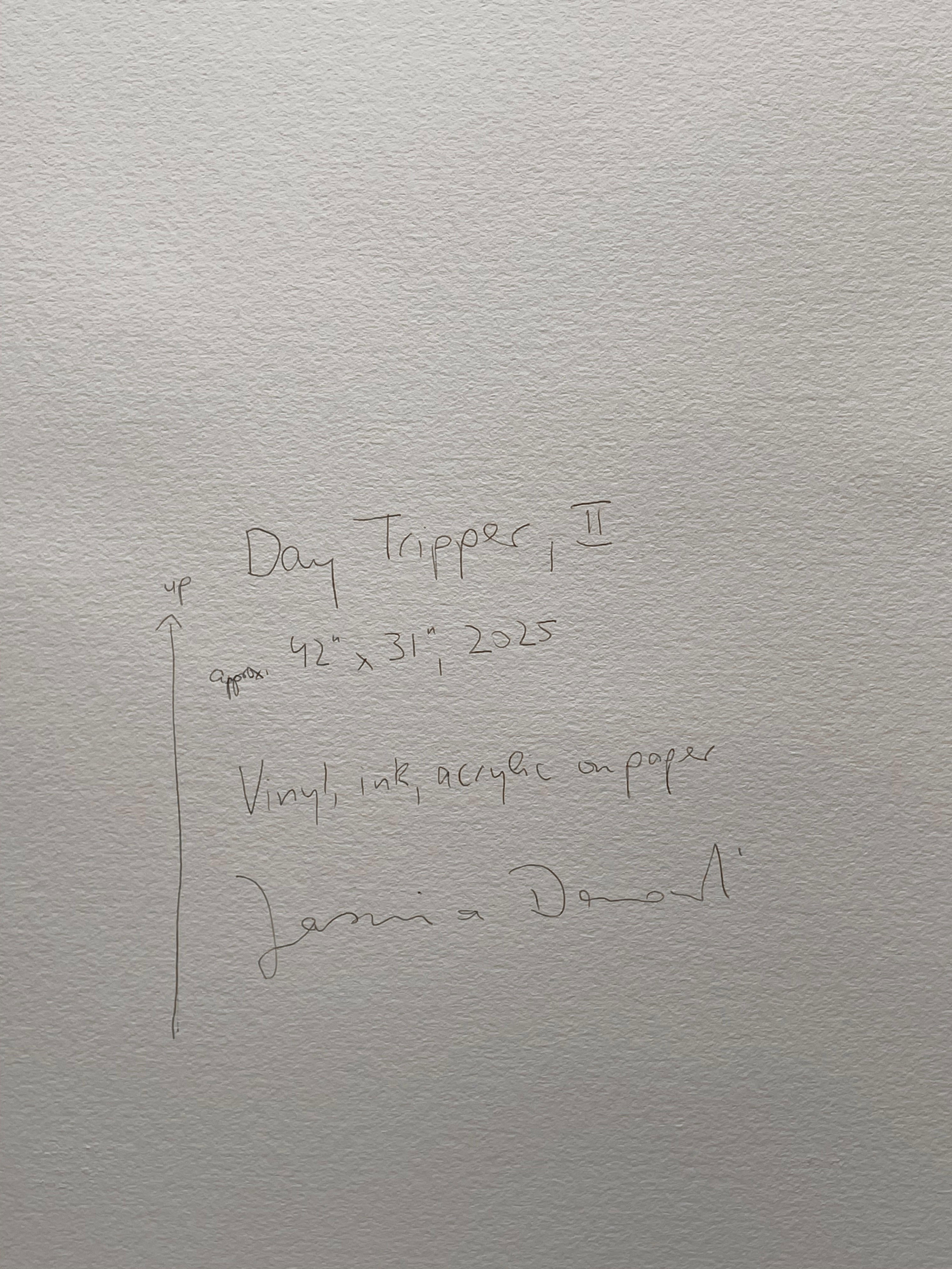 18710, Jasmina Danowski, Day Tripper, II, 2025