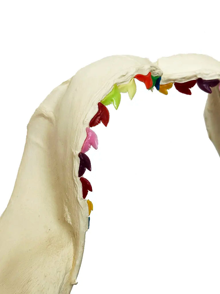 18613, Damien Hirst, Dark Rainbow, 2009