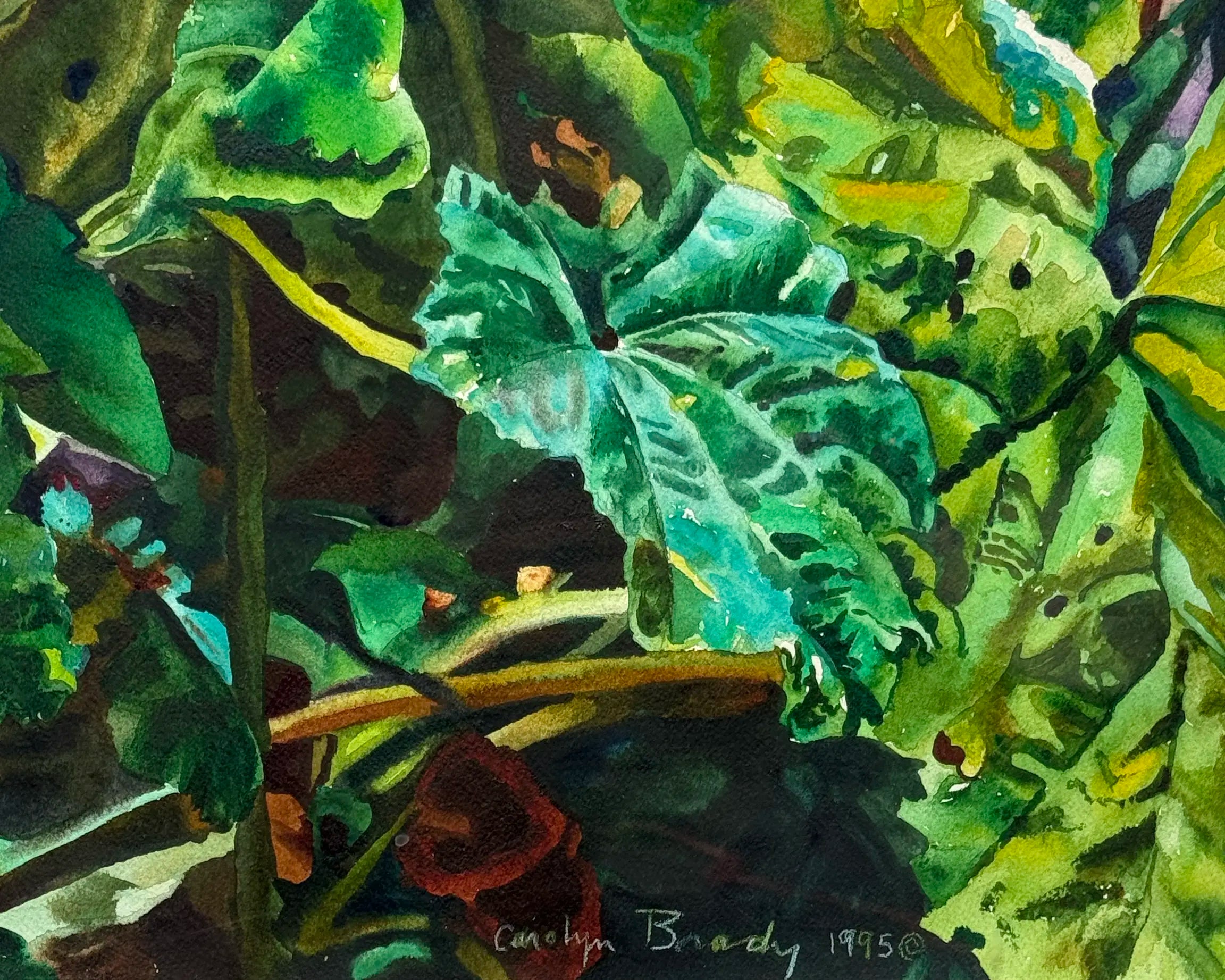 18844, Carolyn Brady, Giant Purple Mallow, Giverny, 1995