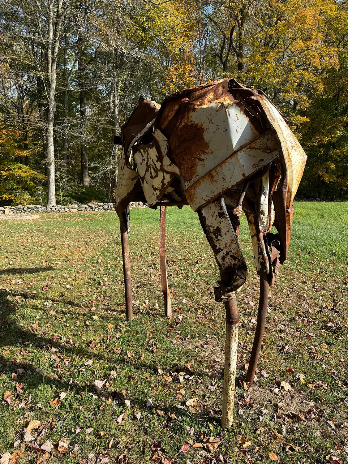 18647, Deborah Butterfield, Beatrice, 1988