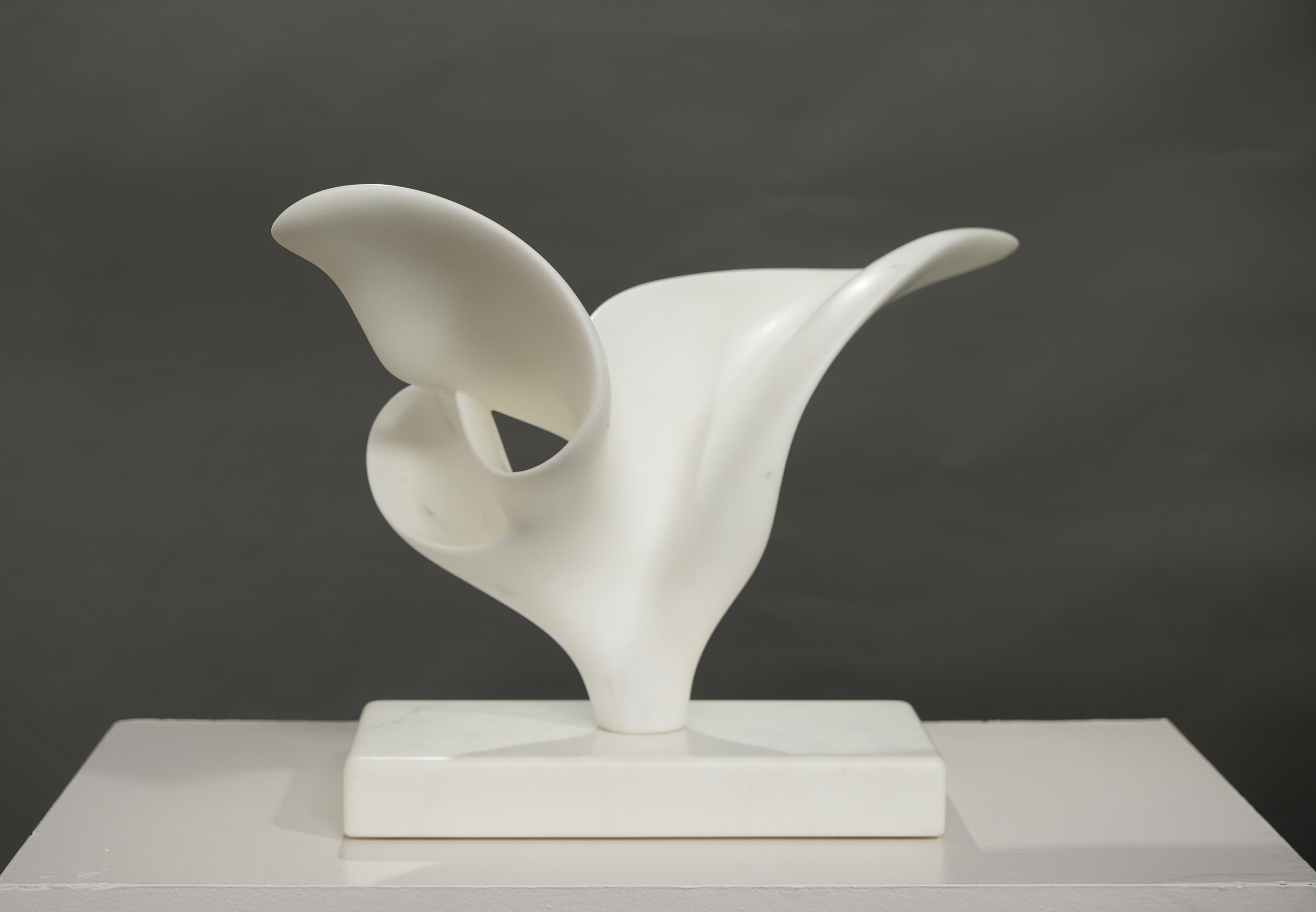 18790, Richard Erdman, Volante, 2025