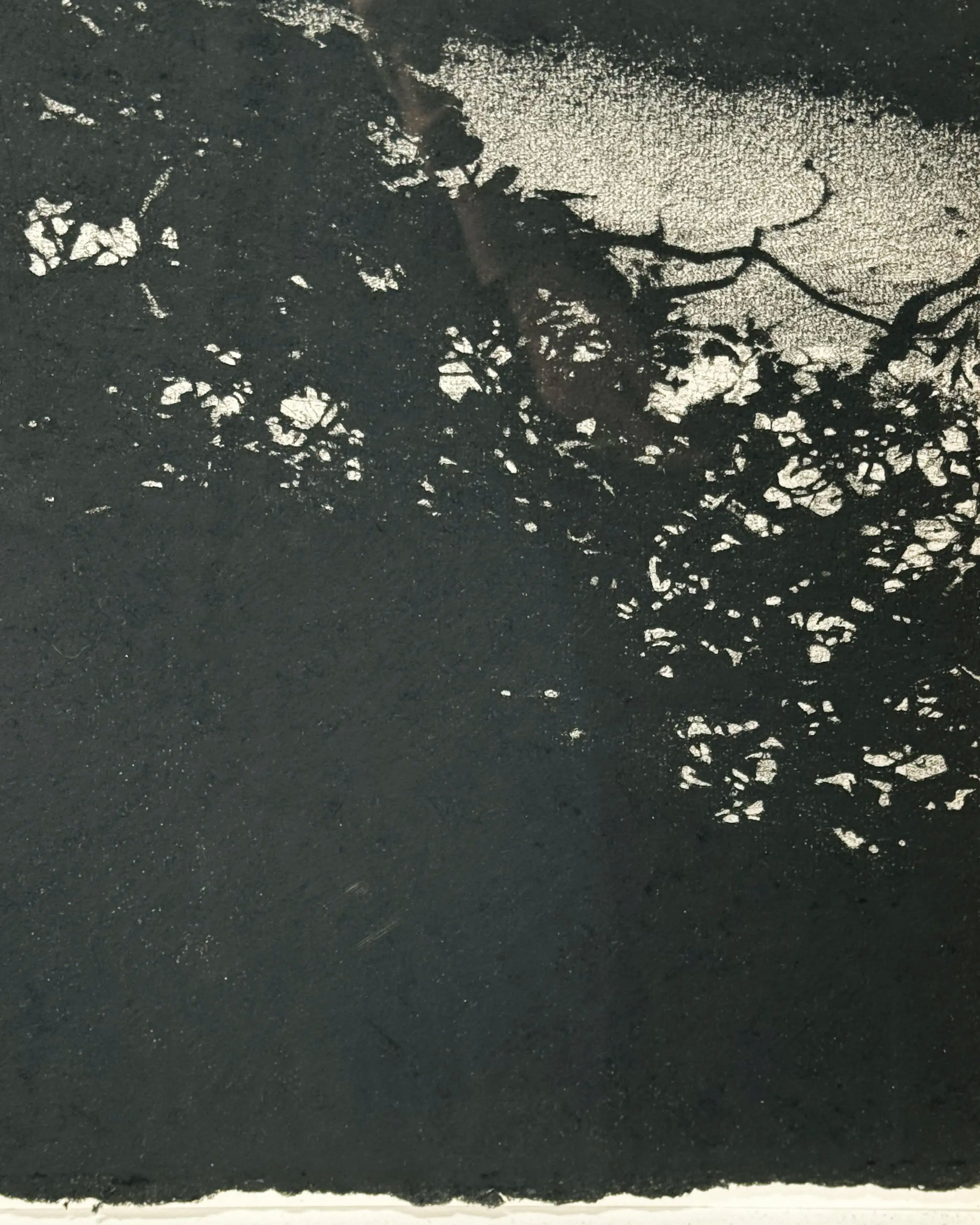 17086, Sarah Gillespie, Bend in the River, 2014