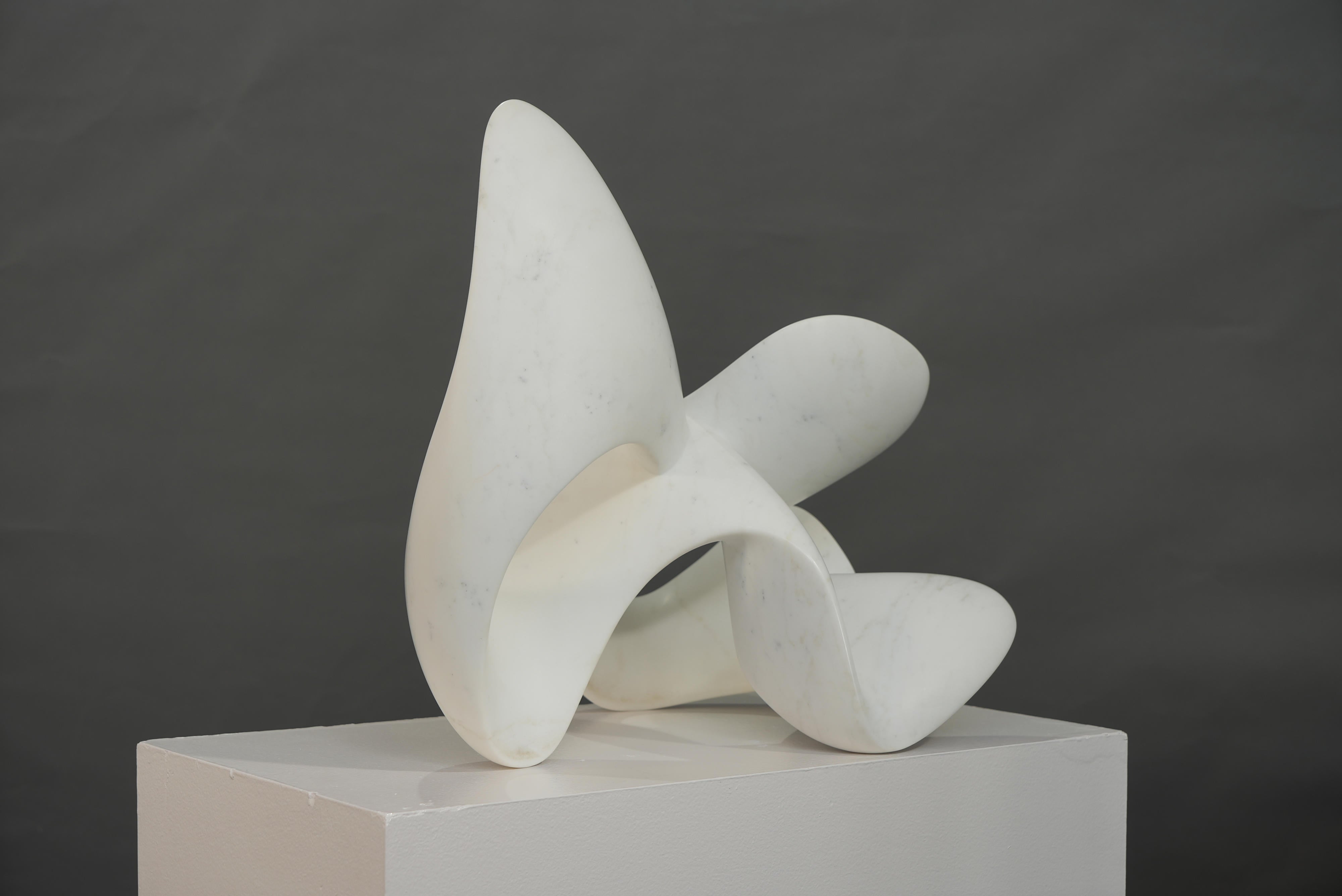 18775, Richard Erdman, Umba, 2024