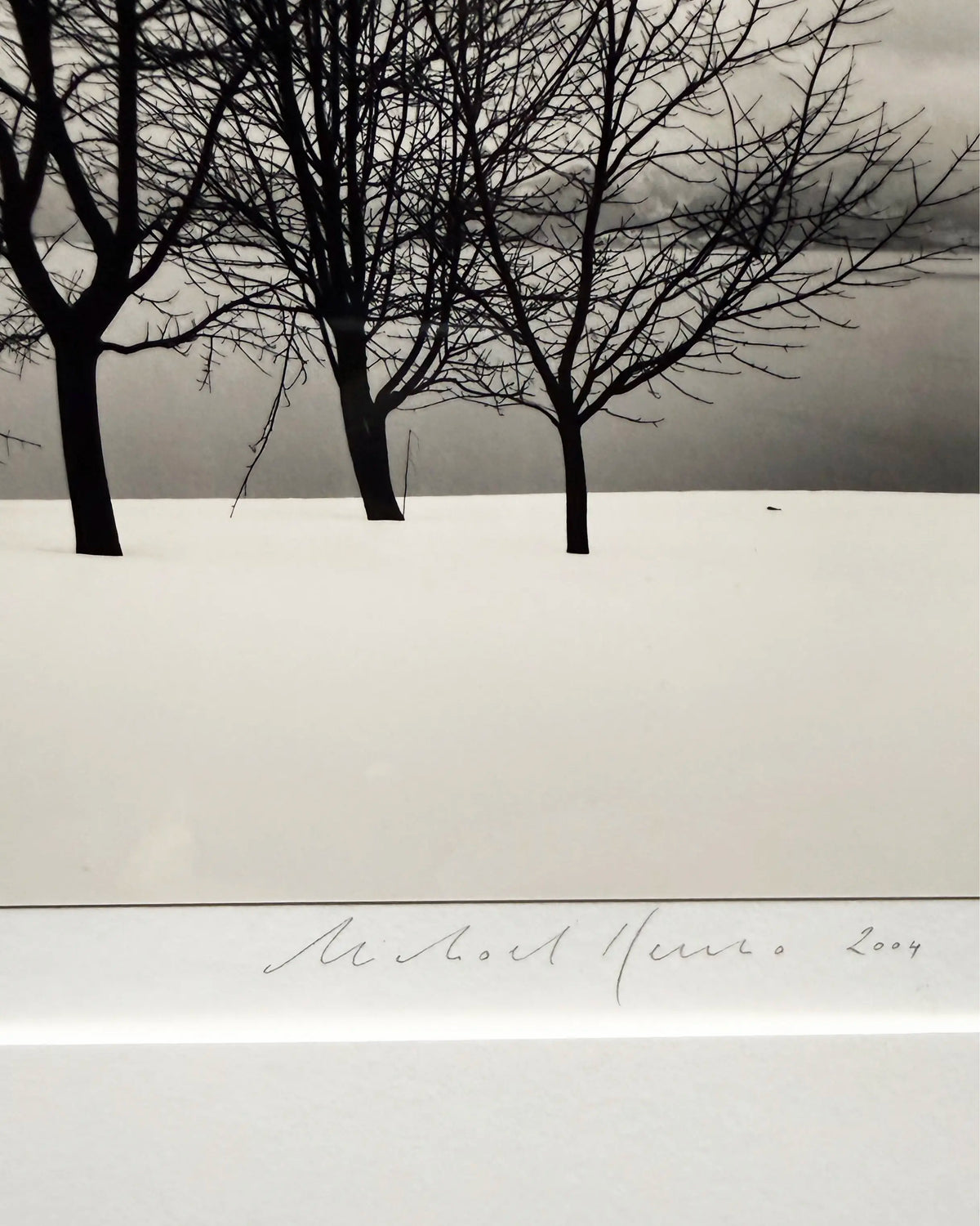 18903, Michael Kenna, Five Trees, Toya Lake, Hokkaido, Japan, 2004, printed 2005