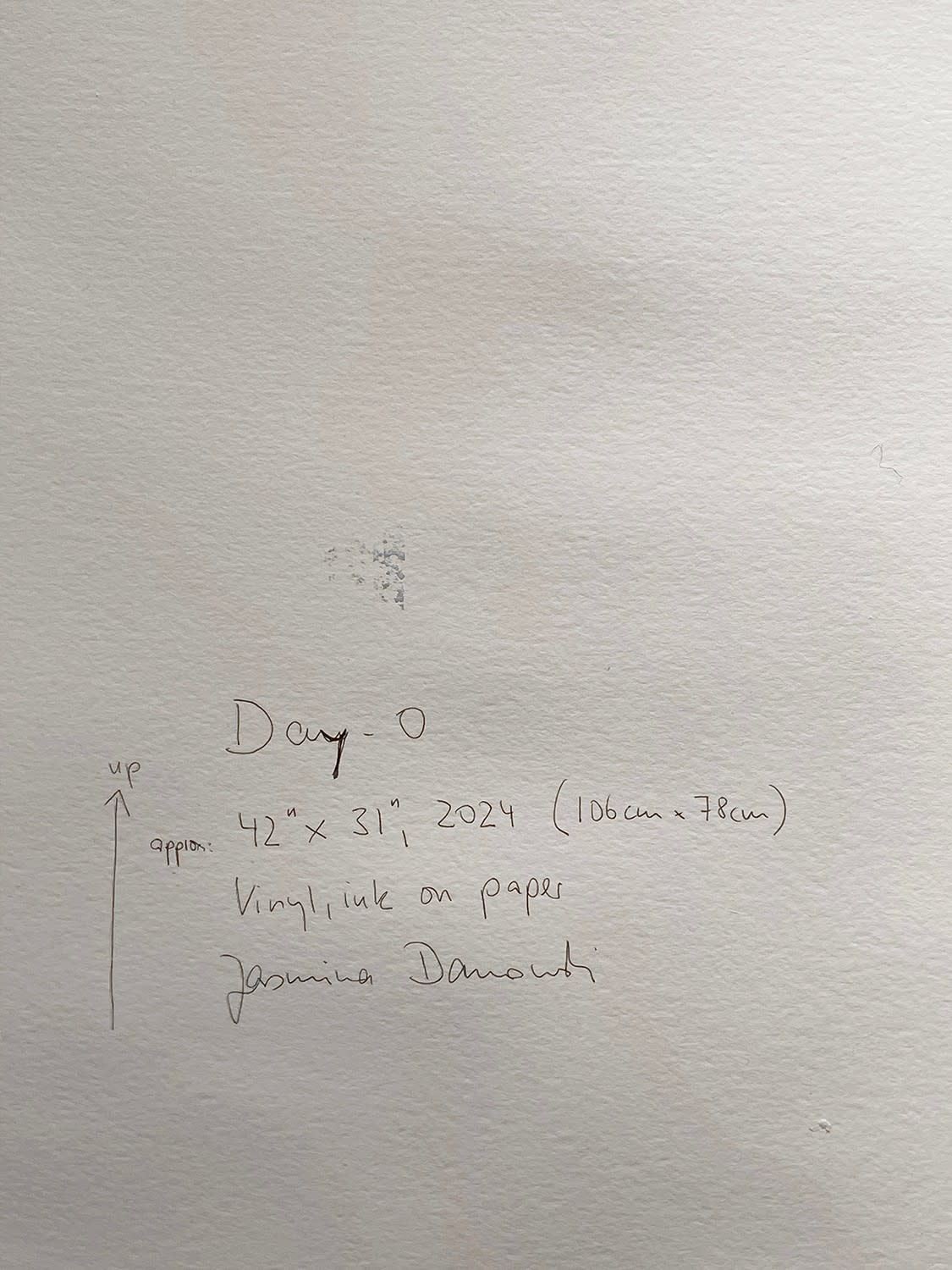 18696, Jasmina Danowski, Day-O, 2024