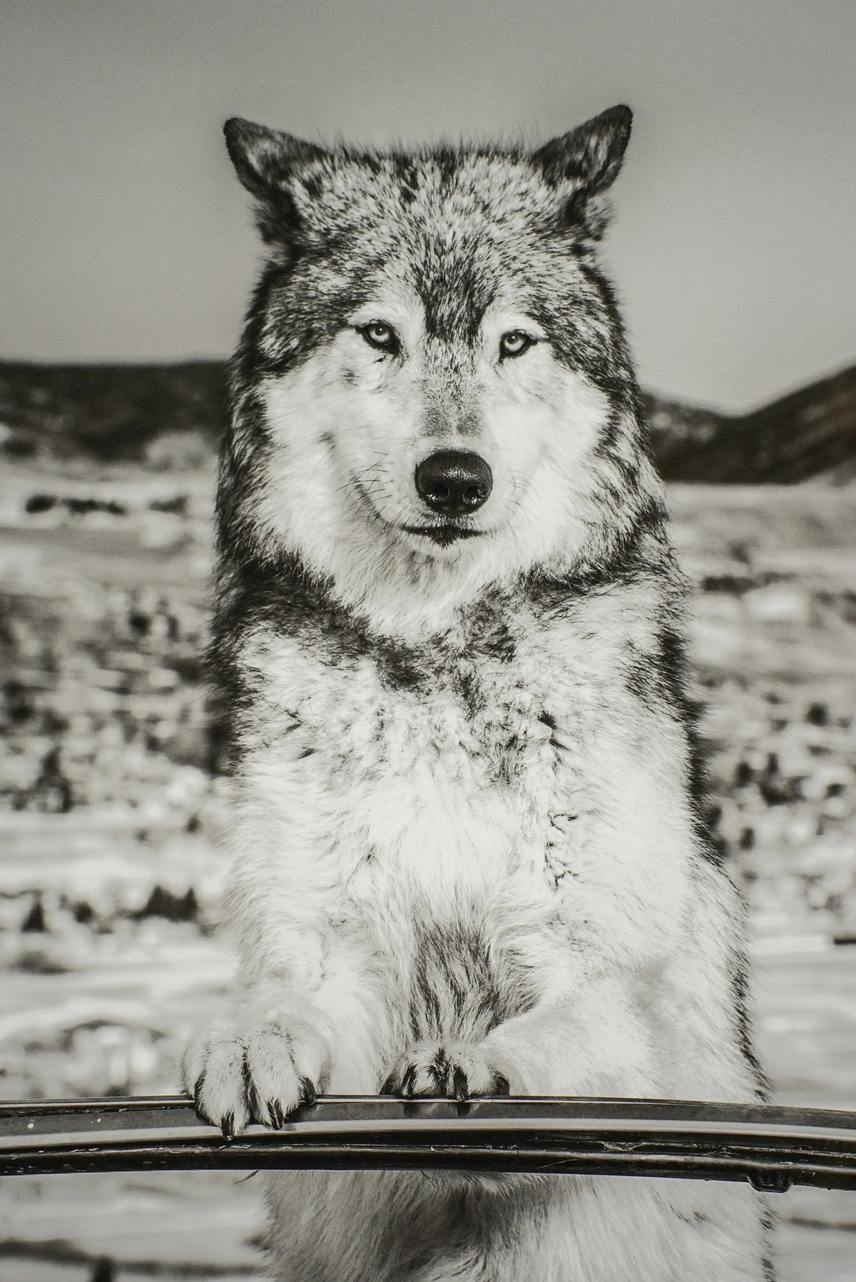 18930, David Yarrow, The Richest Hill in the World, 2020