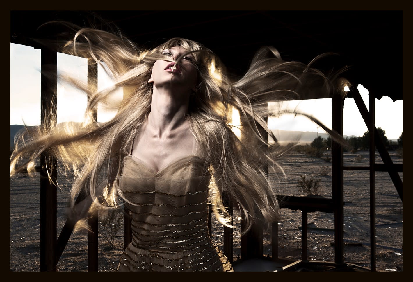 18542, Formento & Formento, Deanna, Last Night in a Forgotten Place (Desert Spectre, CA), 2010