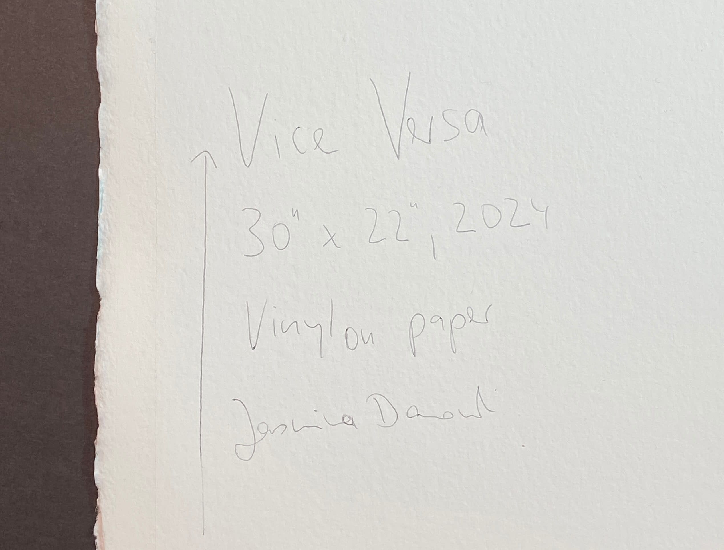 18462, Jasmina Danowski, Vice Versa, 2024