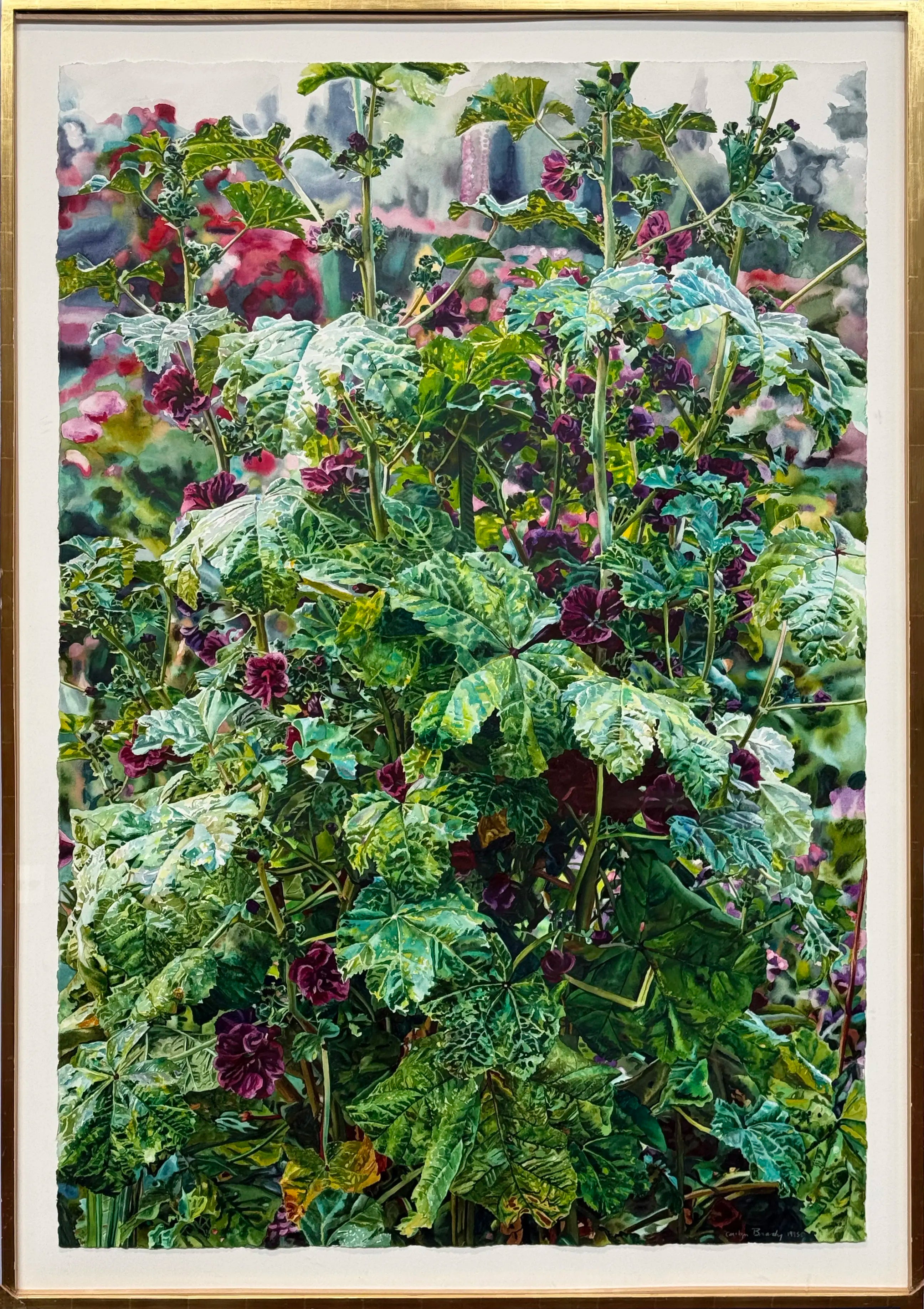 18844, Carolyn Brady, Giant Purple Mallow, Giverny, 1995