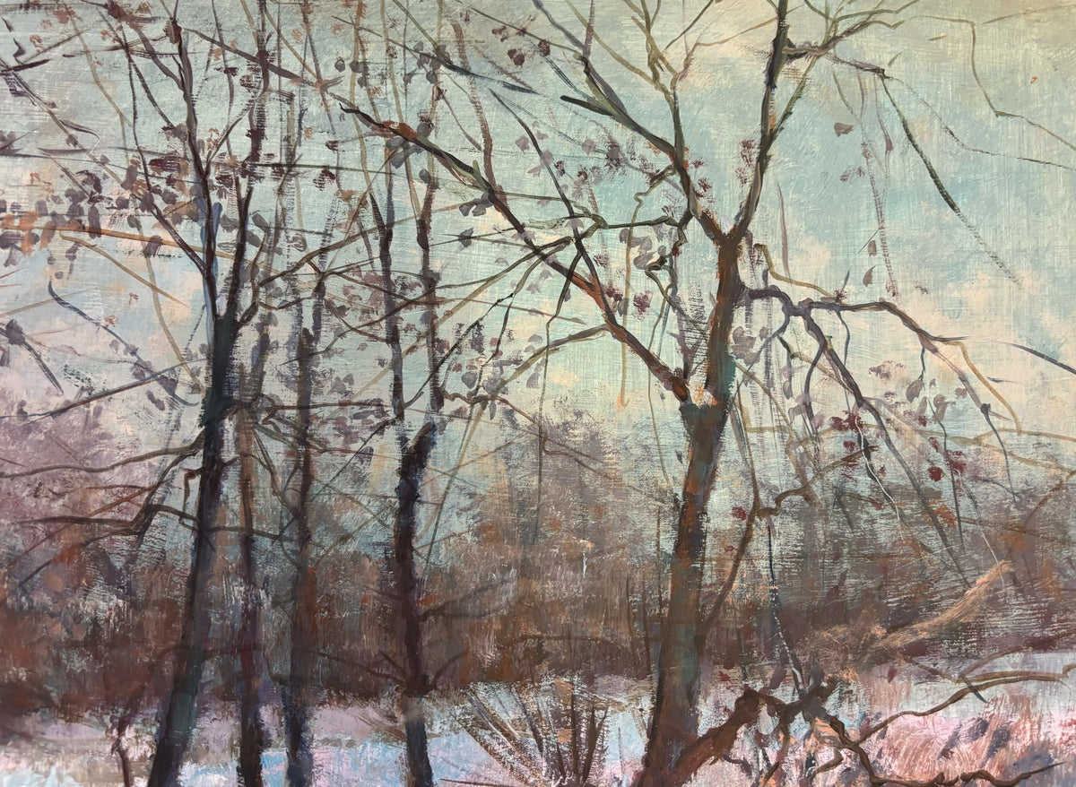16503, Donald R. Purdy, Wintry Stream