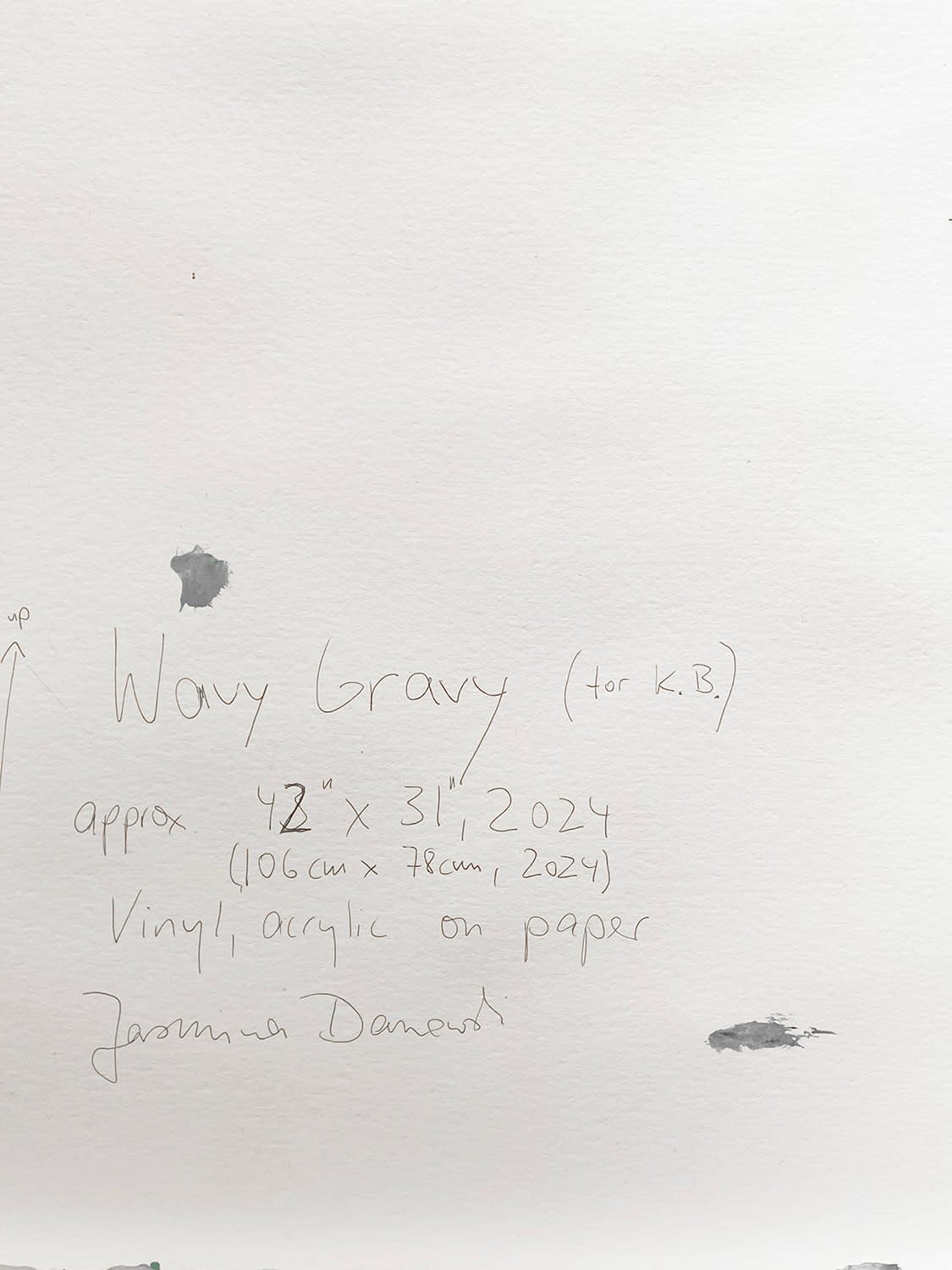 18691, Jasmina Danowski, Wavy Gravy, 2024