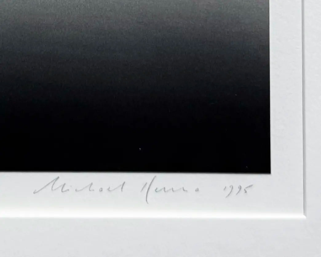 18911, Michael Kenna, Seventy Six Topiaries, Marly, France, 1995, printed 1997