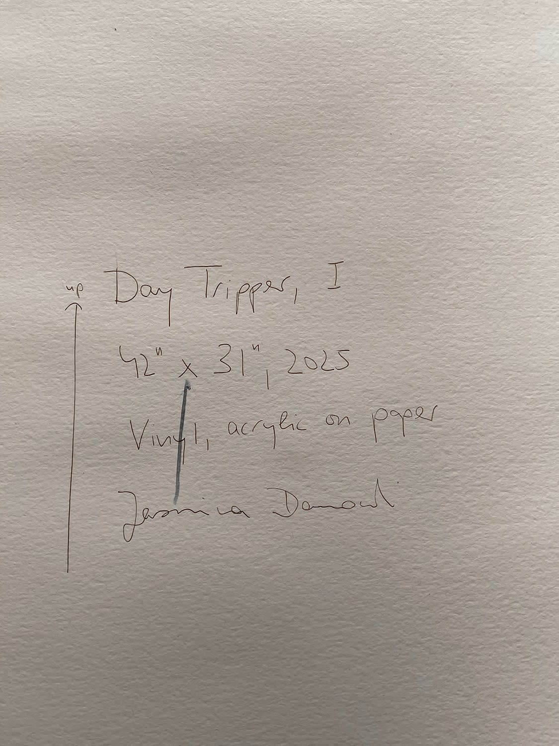 18706, Jasmina Danowski, Day Tripper, I, 2025