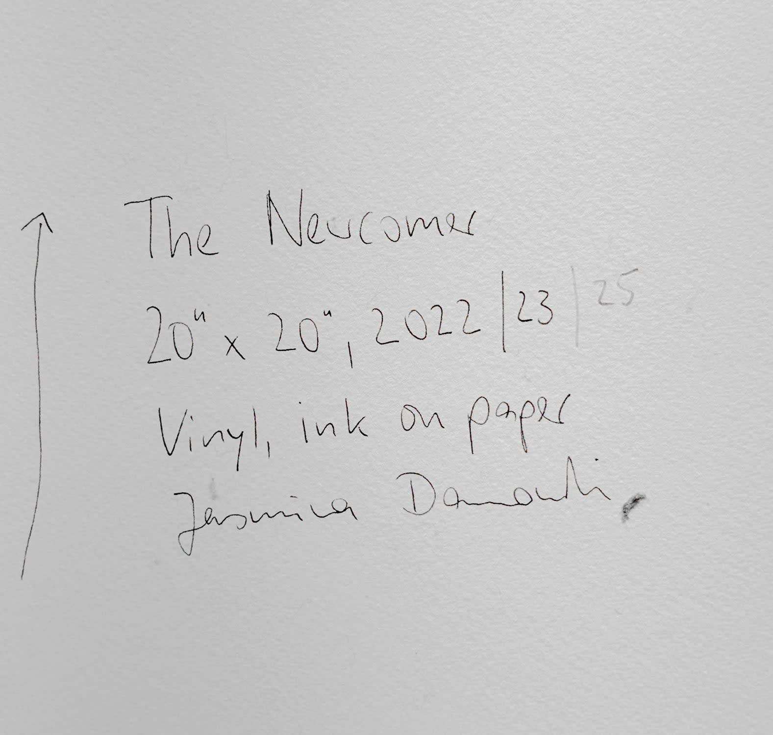 18689, Jasmina Danowski, The Newcomer, 2022-25