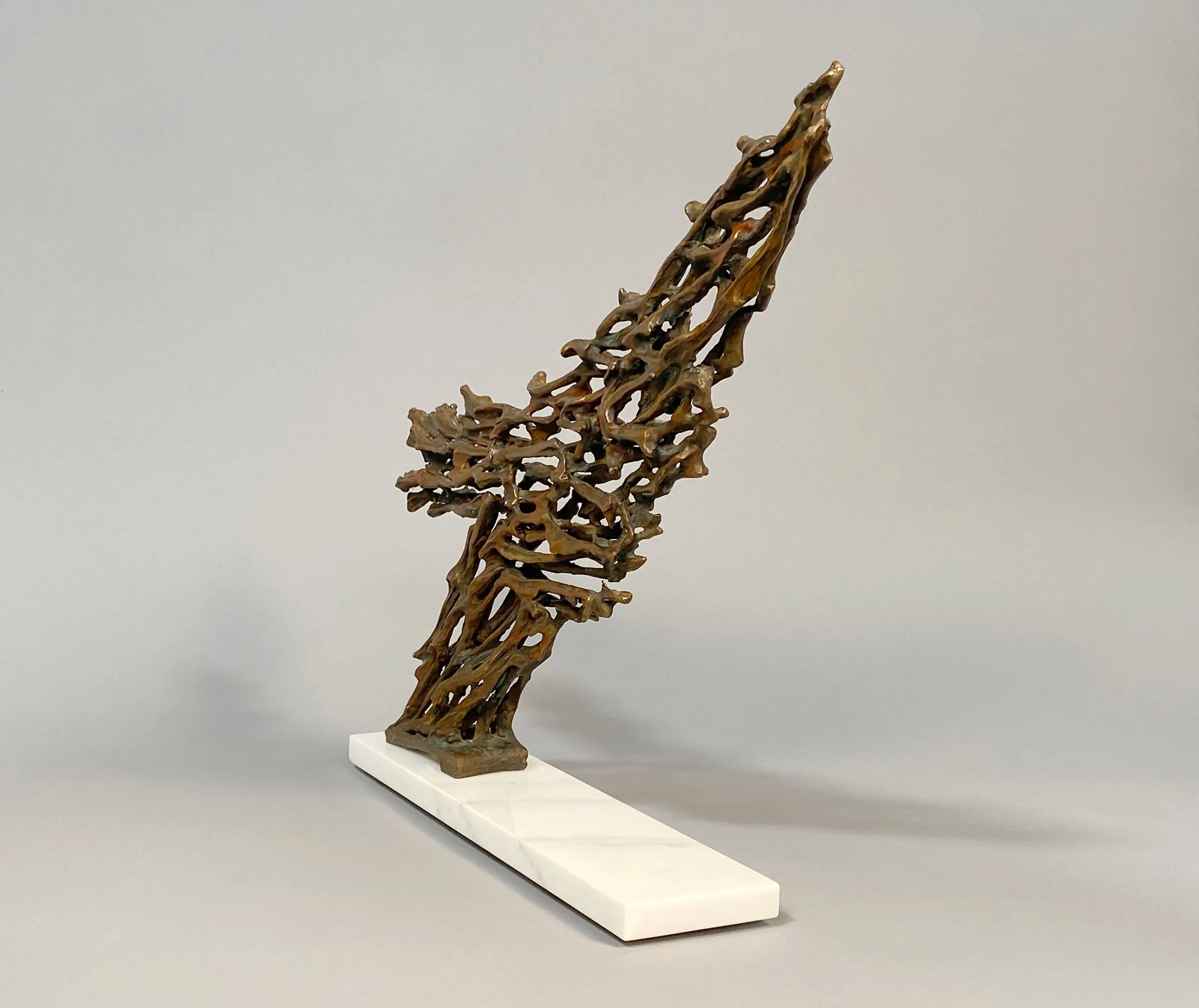 14554, Robert Cook, Rushing, 2010