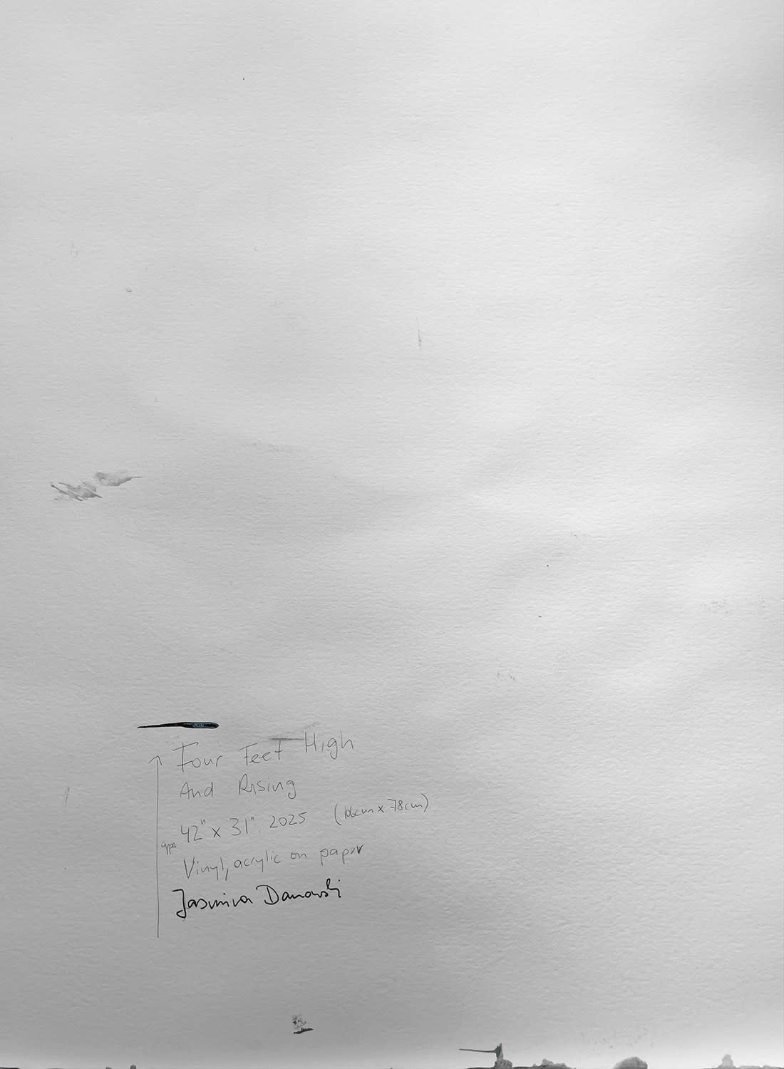 18684, Jasmina Danowski, Four Feet High and Rising, 2025
