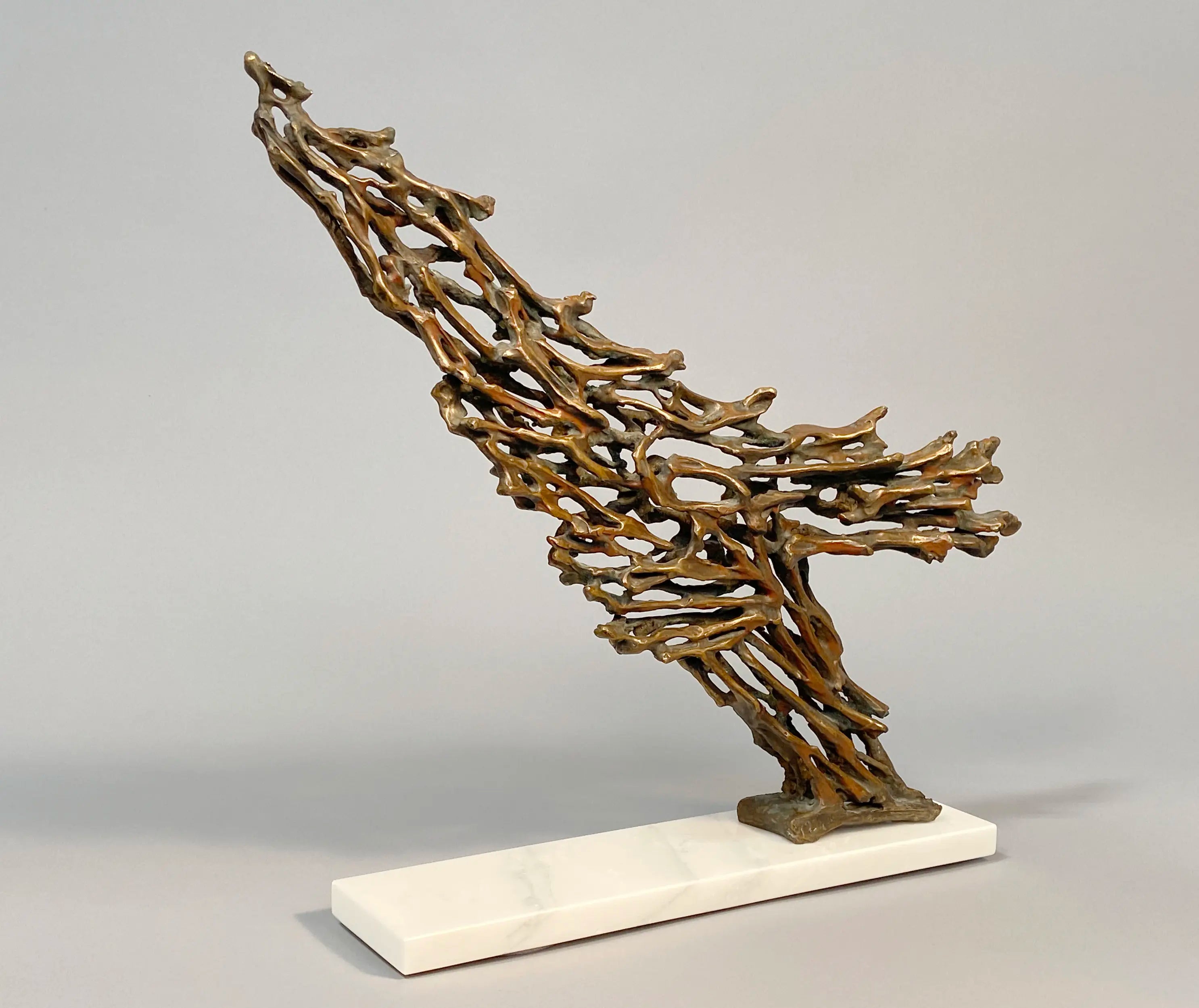14554, Robert Cook, Rushing, 2010
