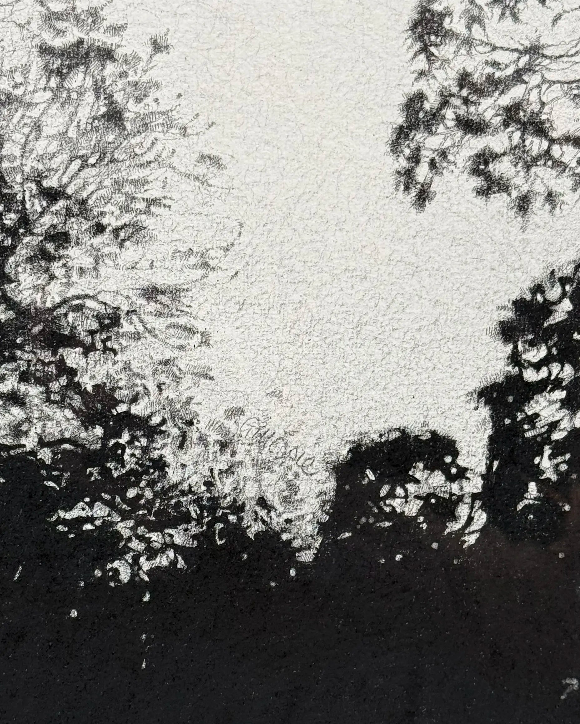 17086, Sarah Gillespie, Bend in the River, 2014