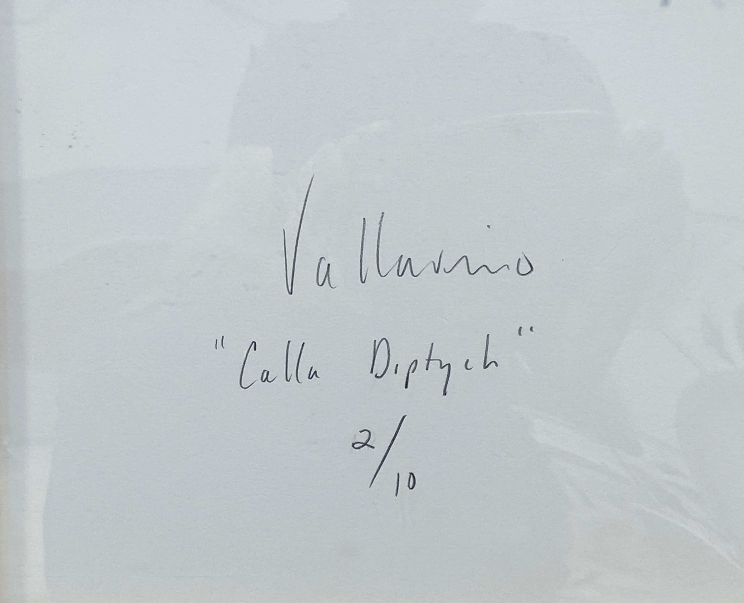 16486, Vincent Vallarino, Calla Diptych, 1987