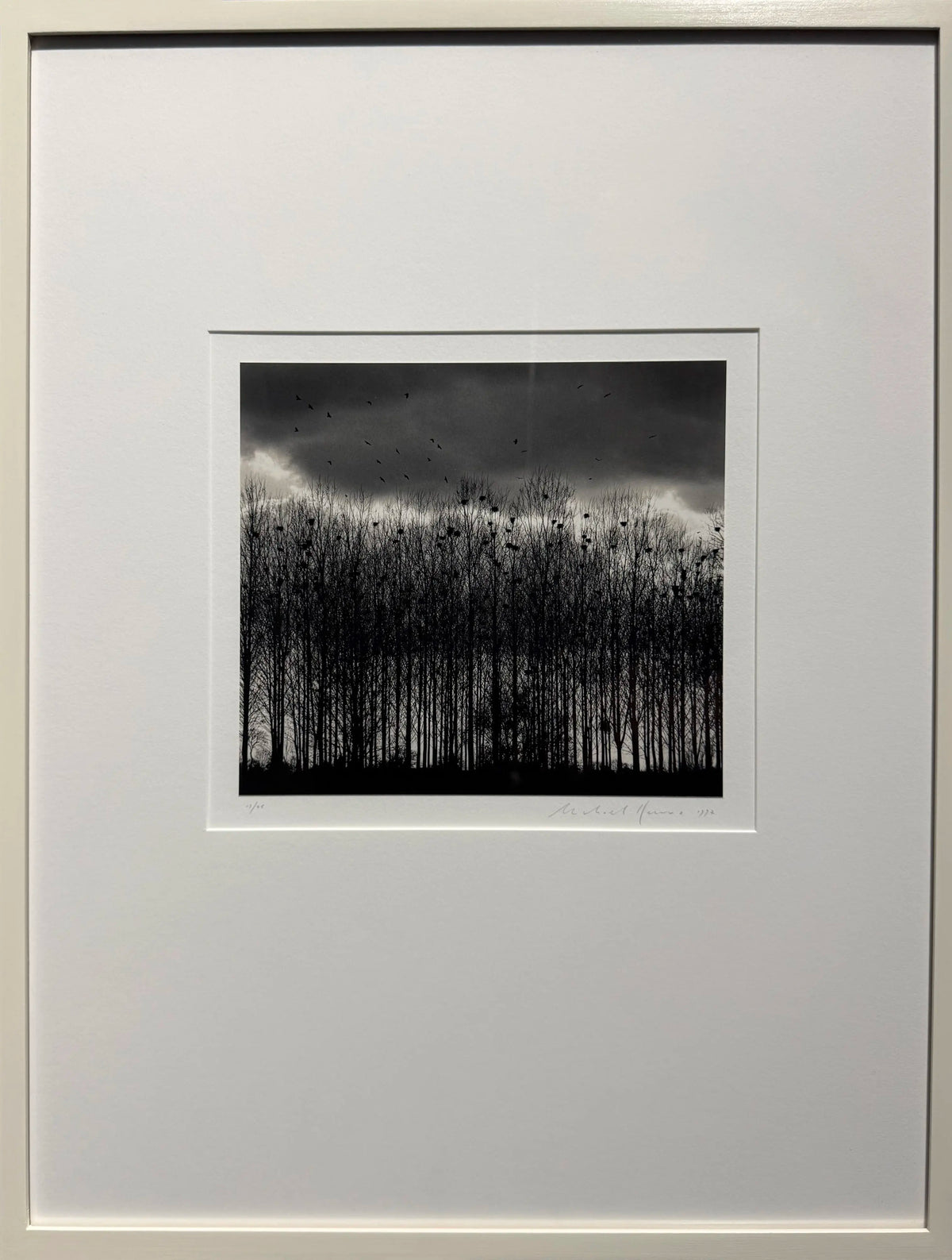 18913, Michael Kenna, Nesting Colony, Bourgogne, France, 1997, printed 2000