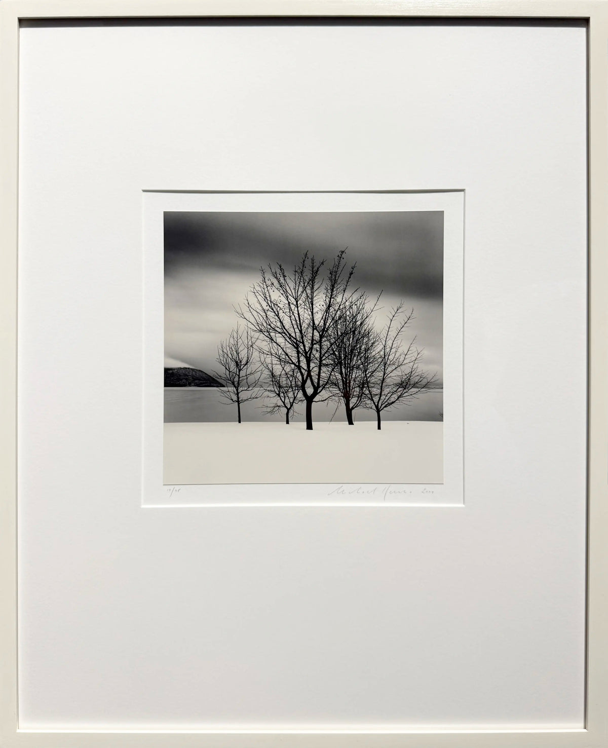 18903, Michael Kenna, Five Trees, Toya Lake, Hokkaido, Japan, 2004, printed 2005