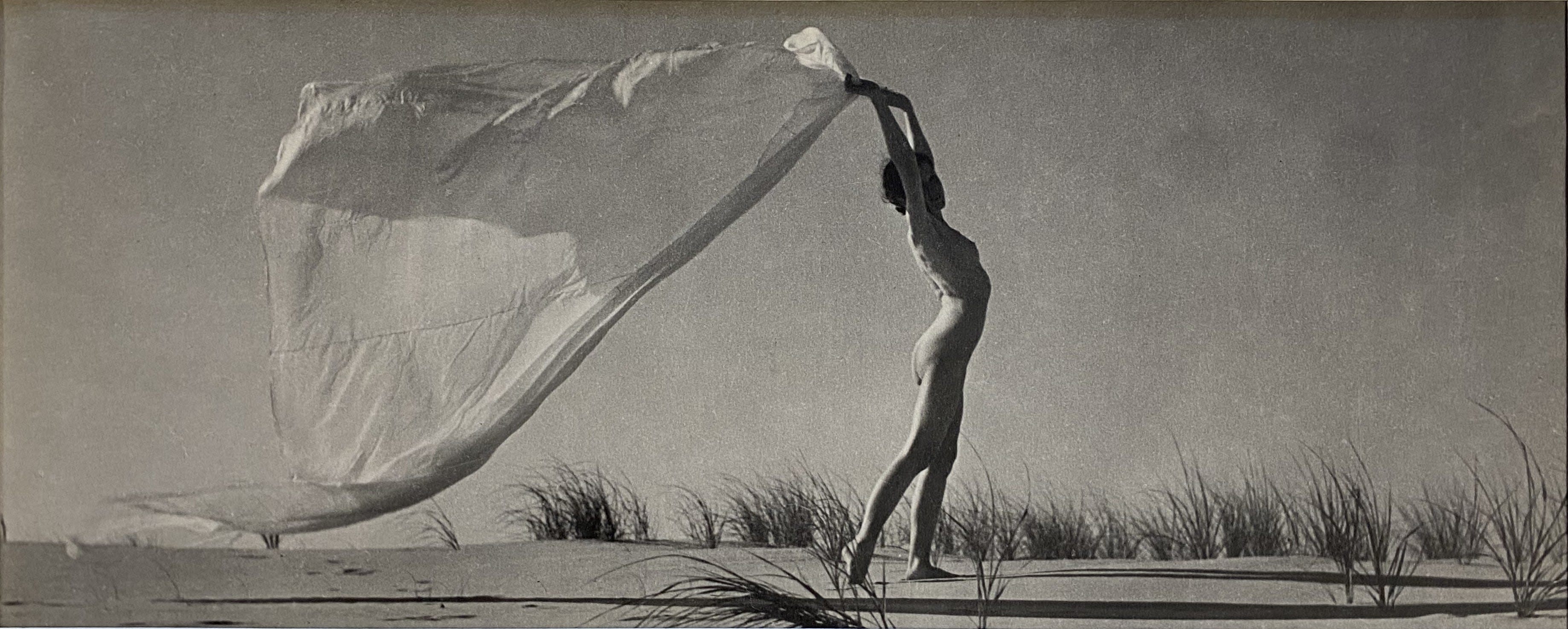 17052, Eleanor Parke Custis, Decorative Frieze, circa late 1930’s
