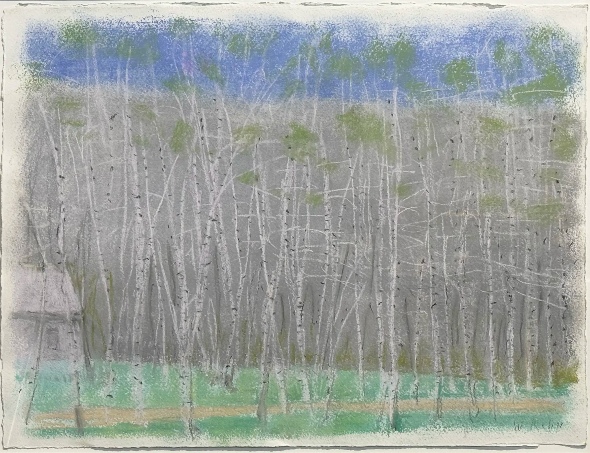 18853, Wolf Kahn, Birch Grove, 2006