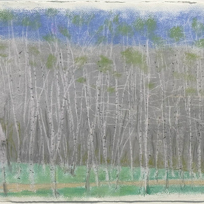 18853, Wolf Kahn, Birch Grove, 2006
