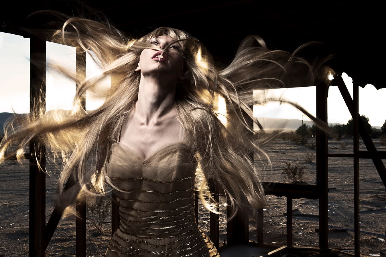 18542, Formento & Formento, Deanna, Last Night in a Forgotten Place (Desert Spectre, CA), 2010