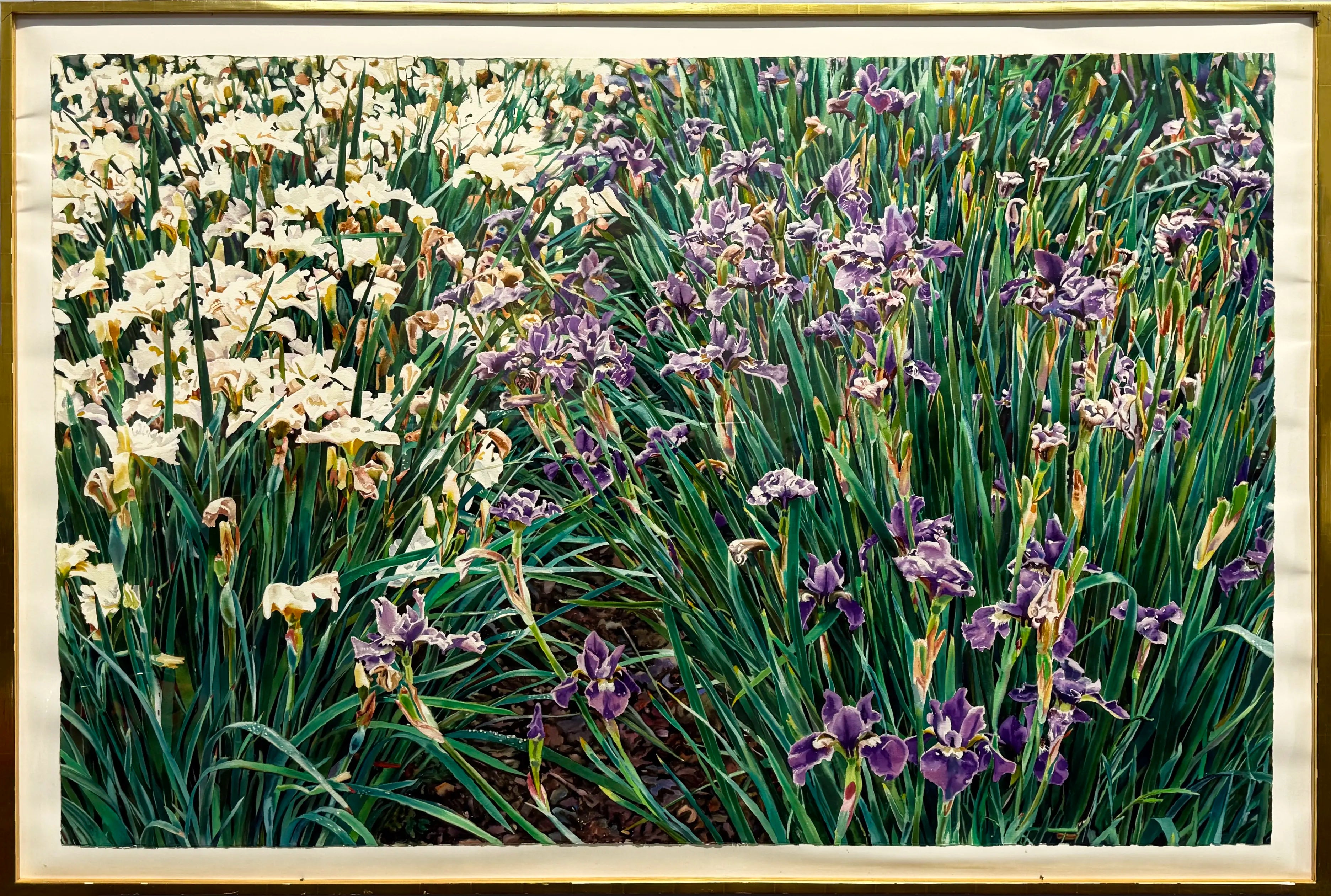 18839, Carolyn Brady, Irises/Chateau Vullierens-Sur-Morges, 1992