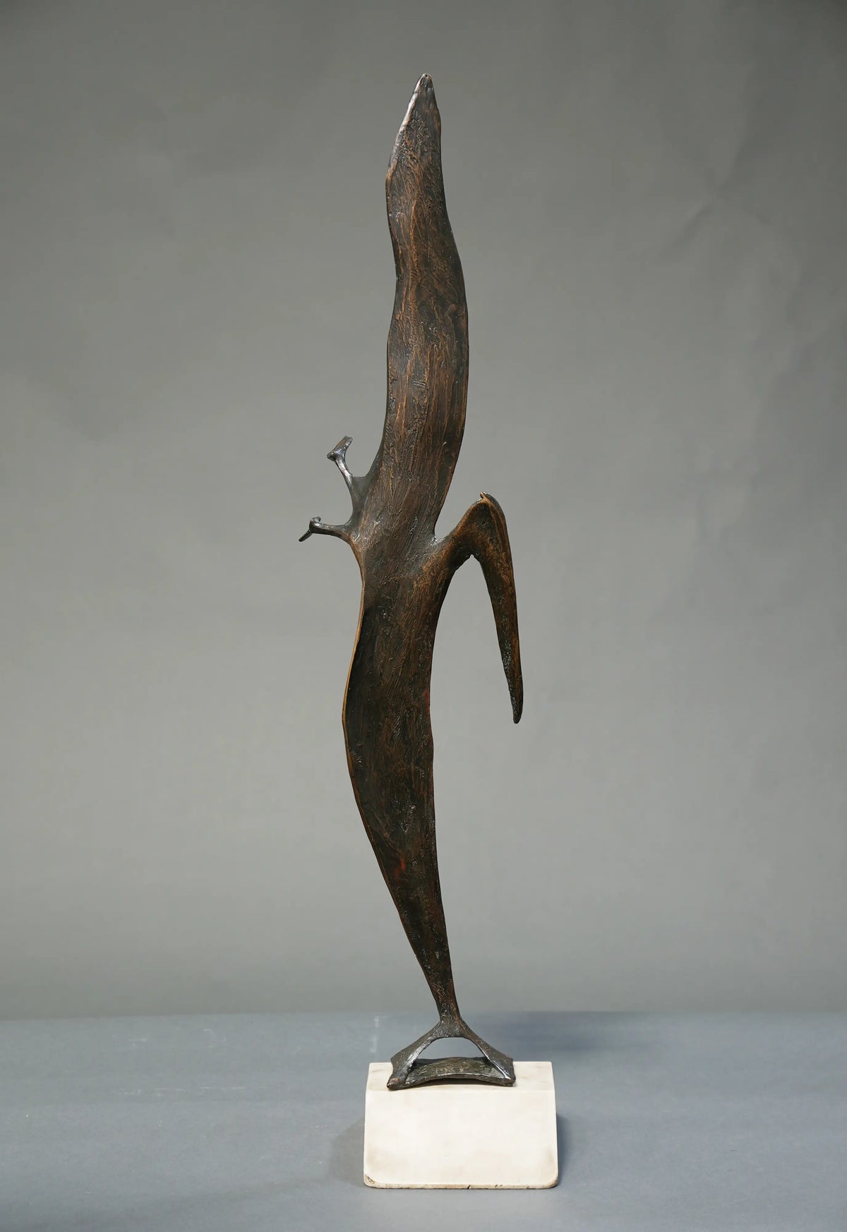 14550, Robert Cook, Pelican, 2011