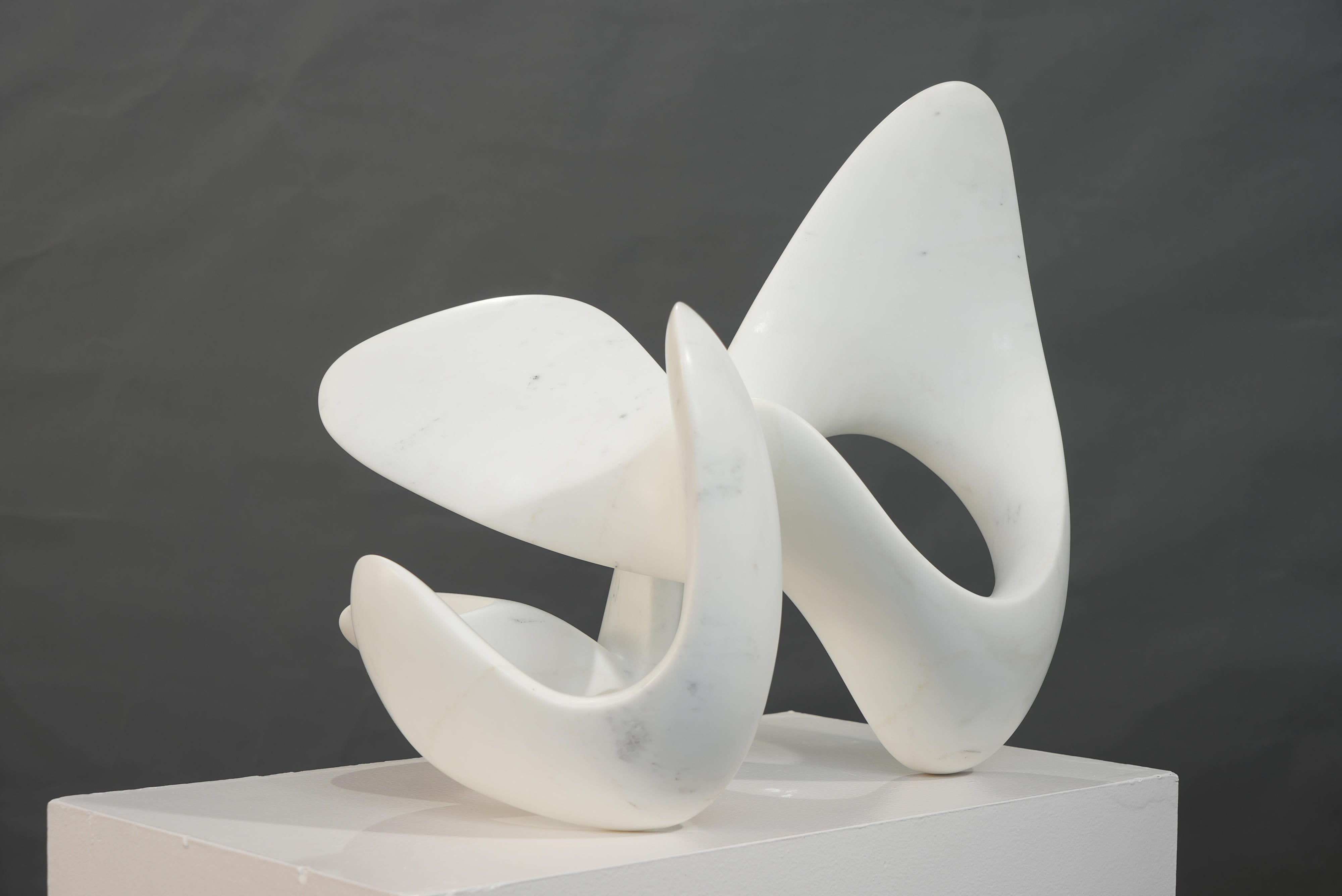 18775, Richard Erdman, Umba, 2024