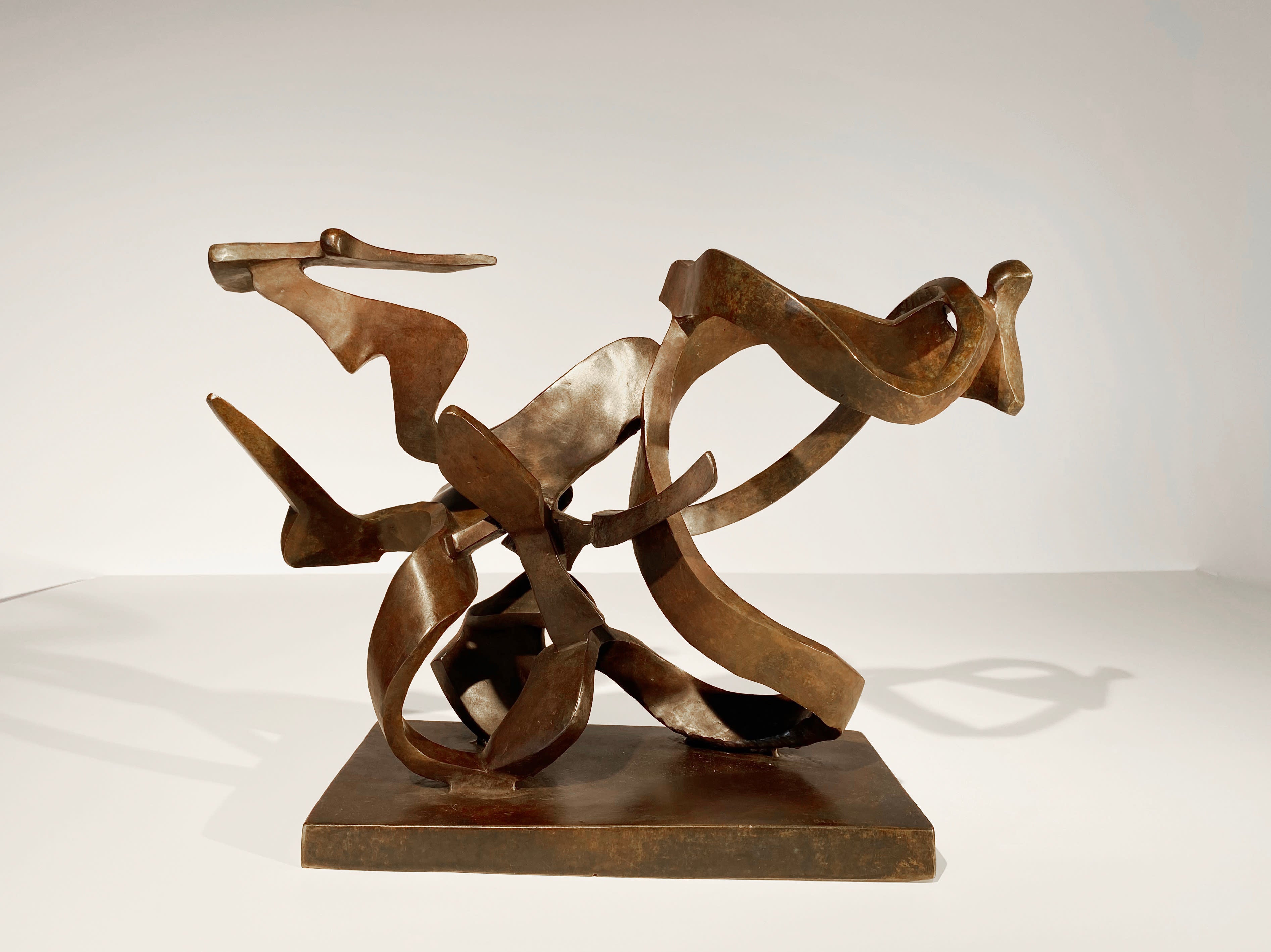 17301, Bill Barrett, DNA IV, 2011