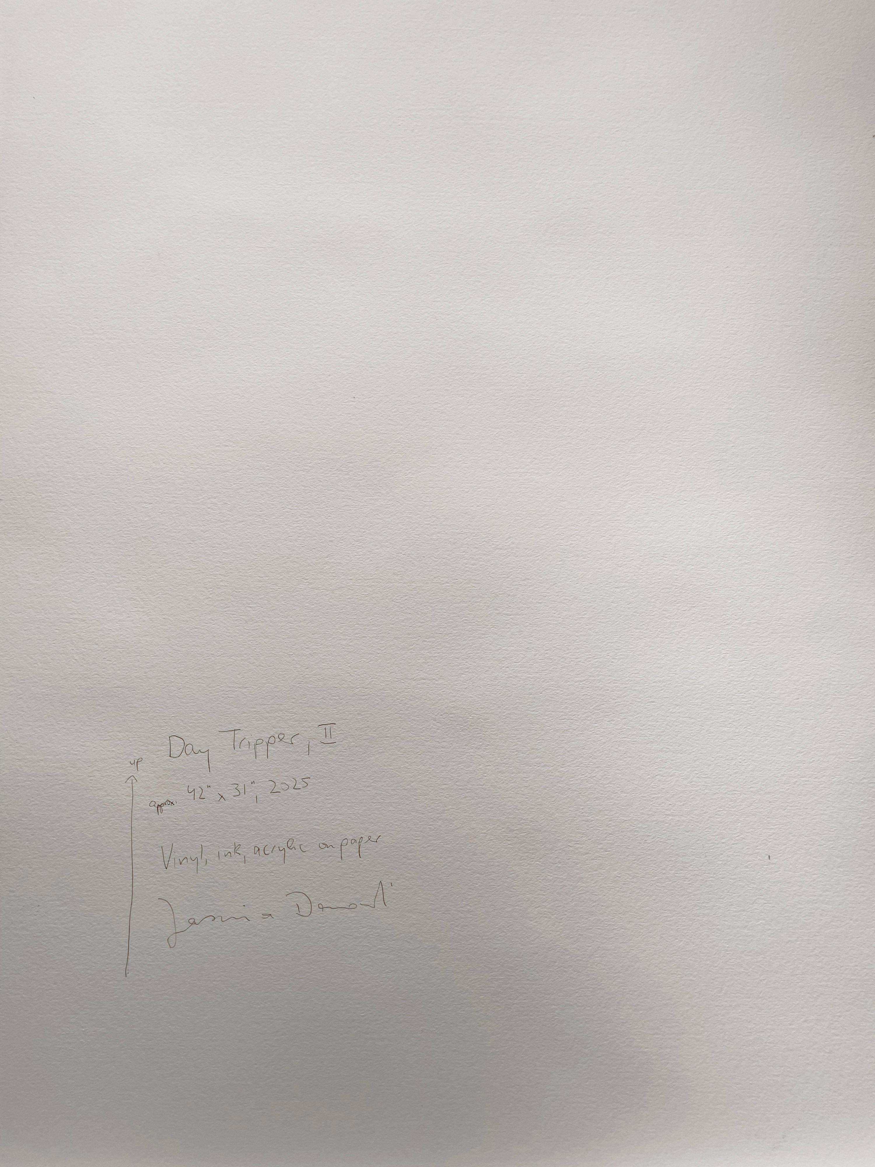 18710, Jasmina Danowski, Day Tripper, II, 2025