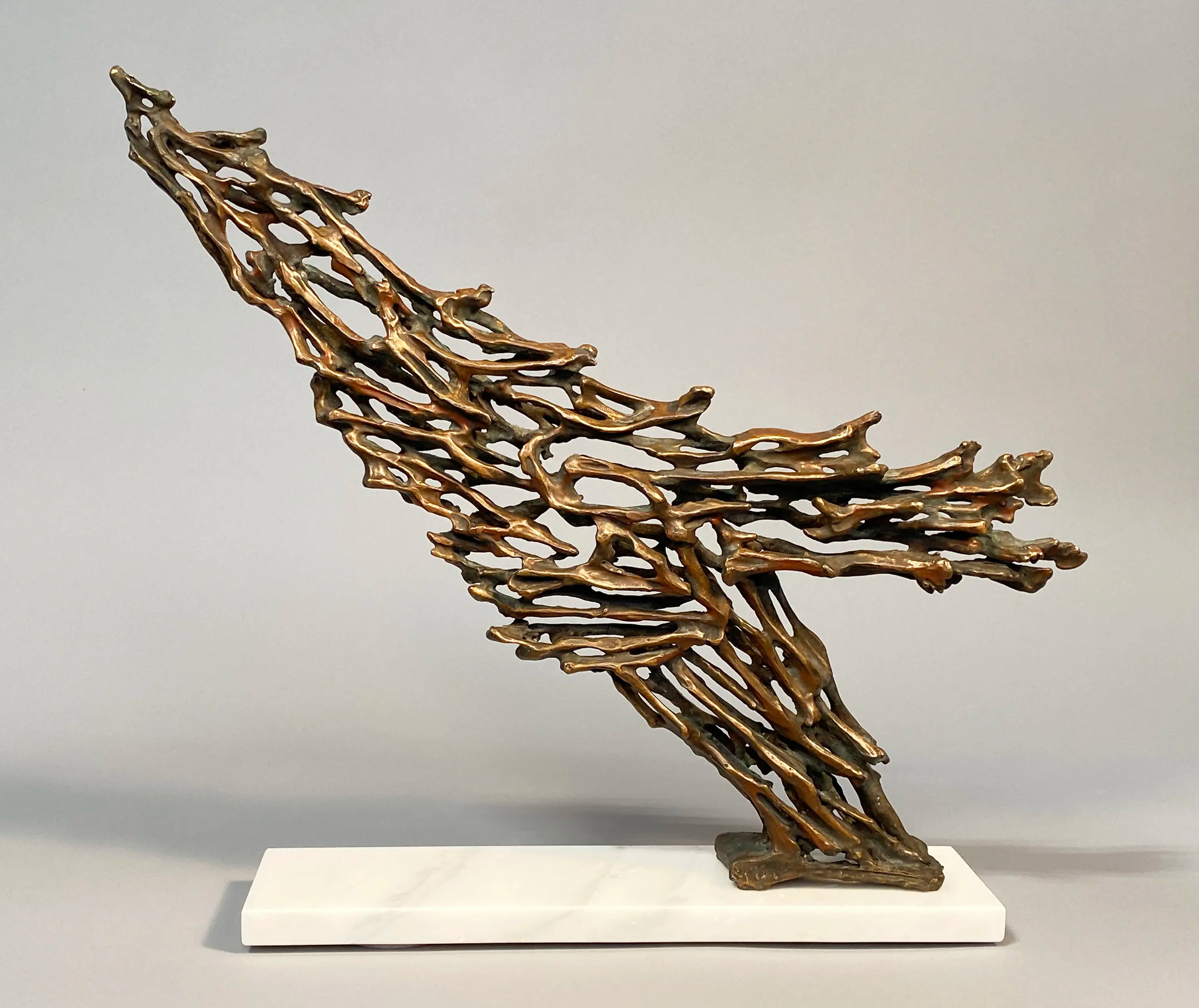 14554, Robert Cook, Rushing, 2010