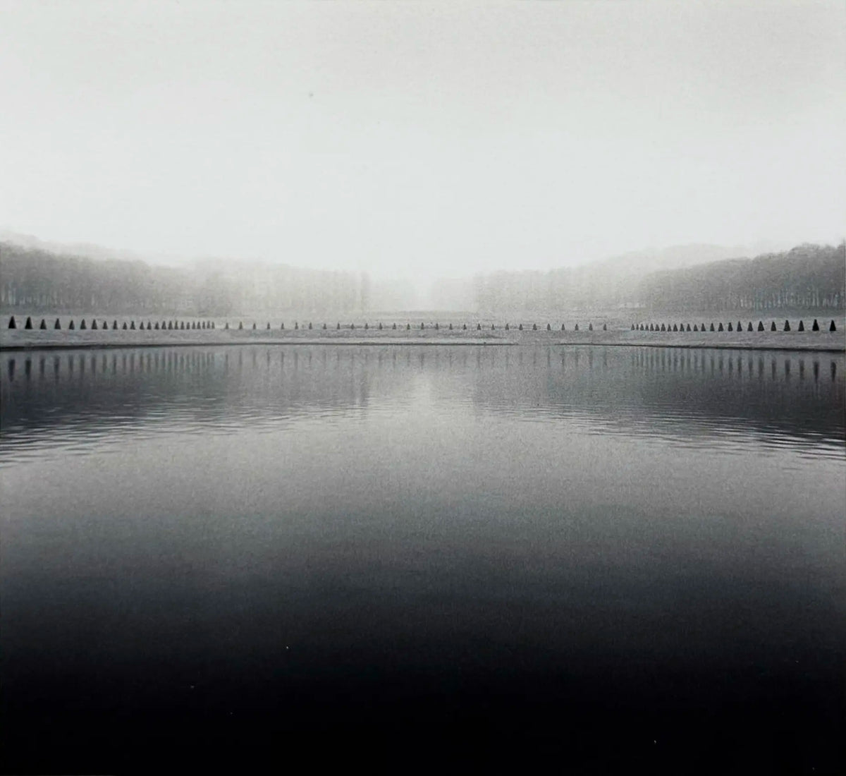 18911, Michael Kenna, Seventy Six Topiaries, Marly, France, 1995, printed 1997