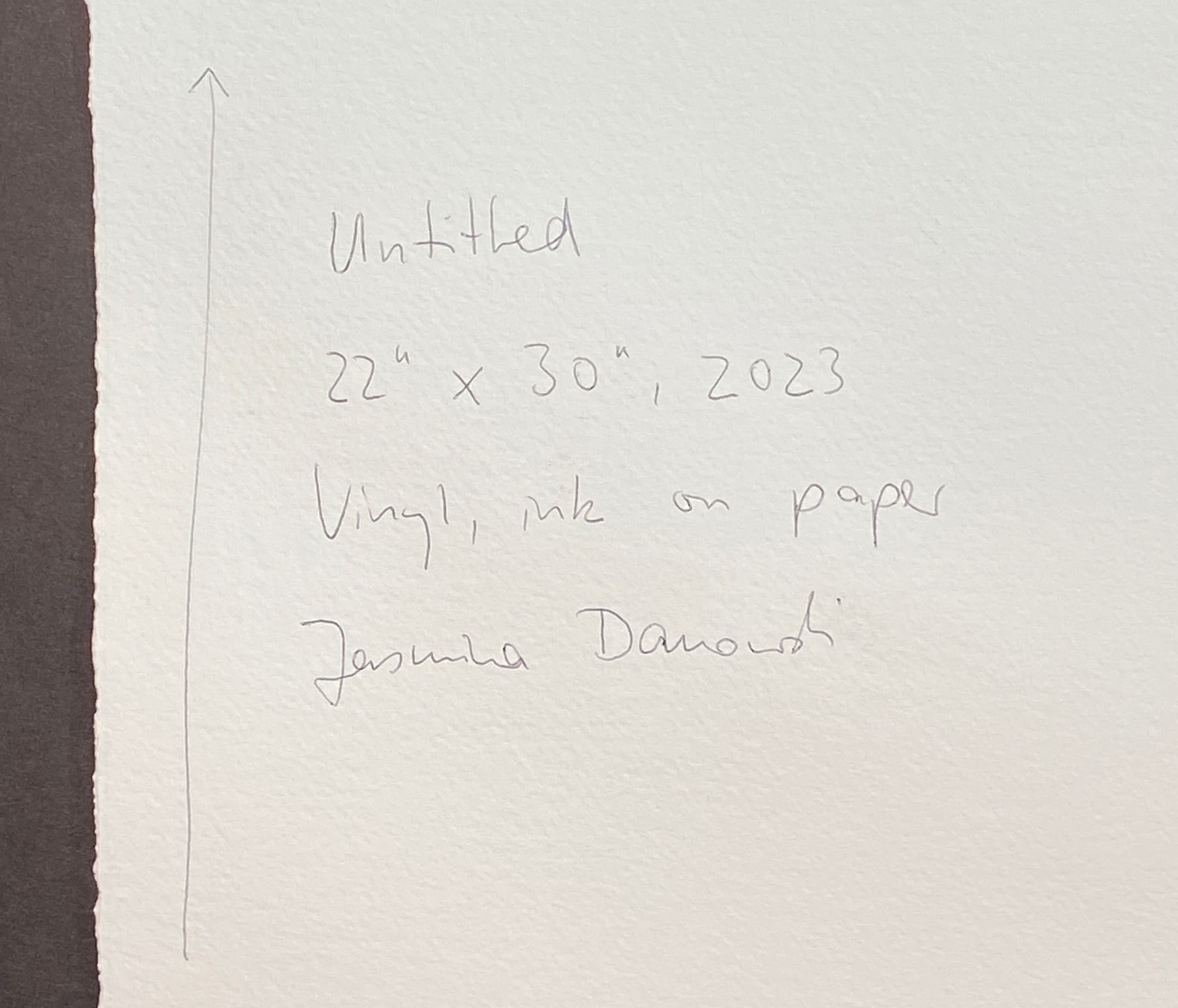18458, Jasmina Danowski, Untitled, 2023