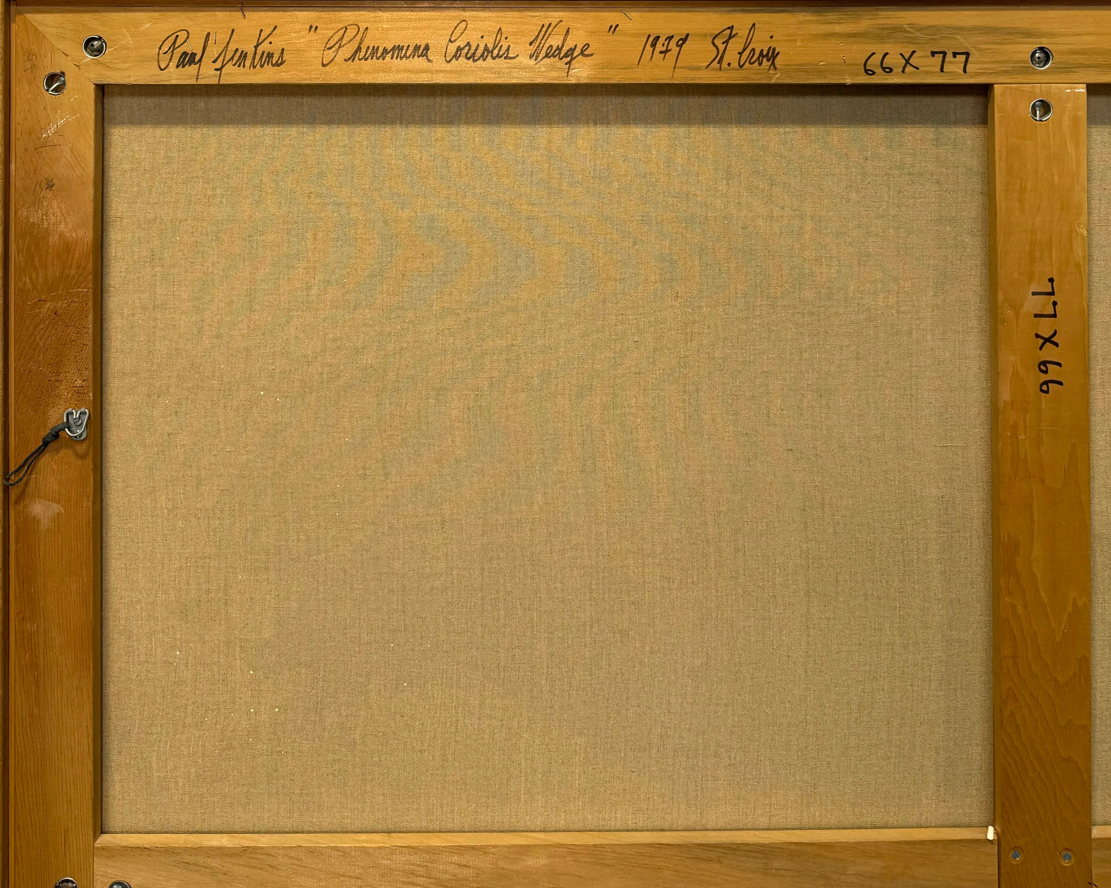 18882, Paul Jenkins, Phenomena Coriolis Wedge, St. Croix, 1979