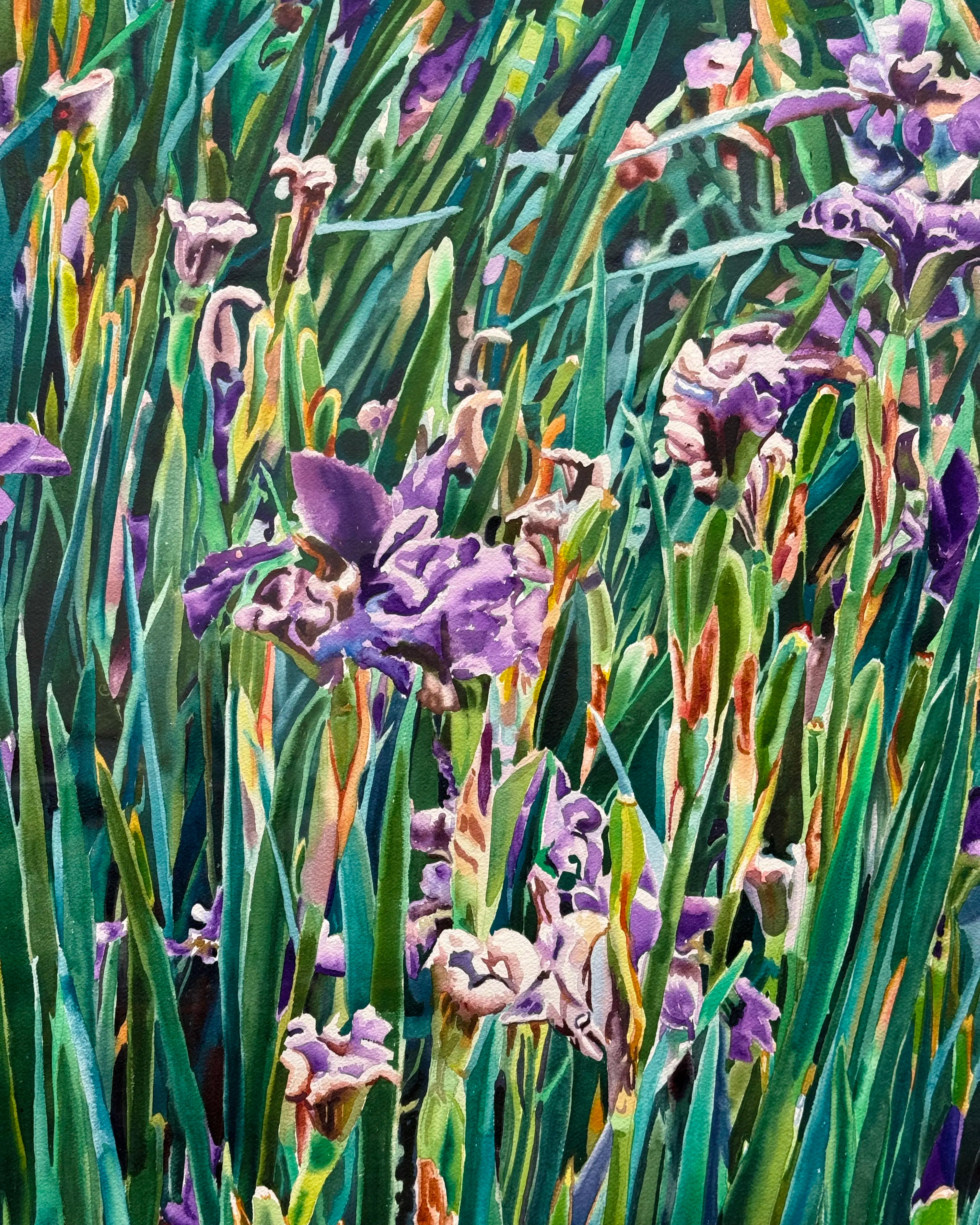 18839, Carolyn Brady, Irises/Chateau Vullierens-Sur-Morges, 1992