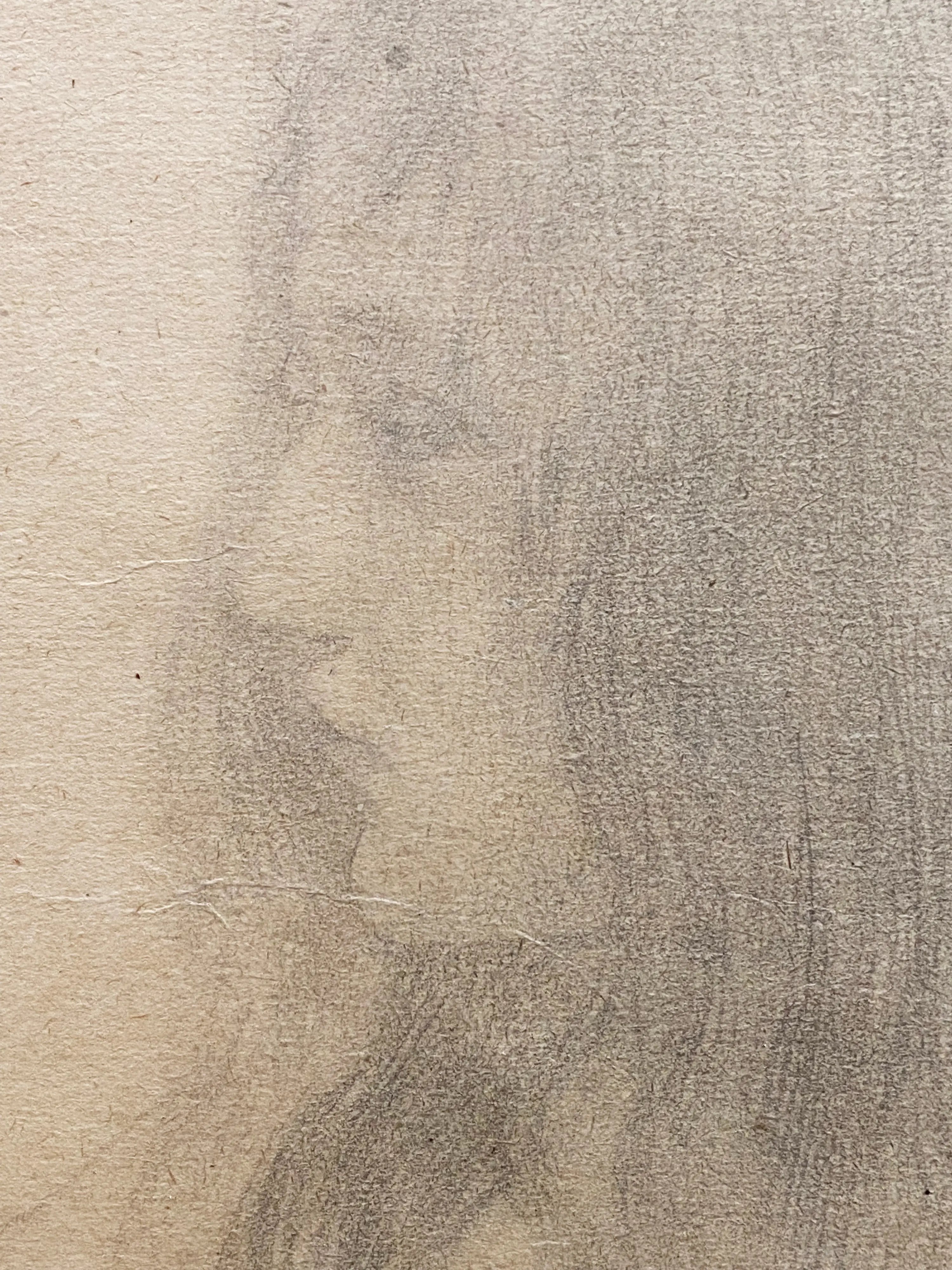 14729, Gustav Klimt, Brustbild eines Maedchens im Profil nach links, circa 1898