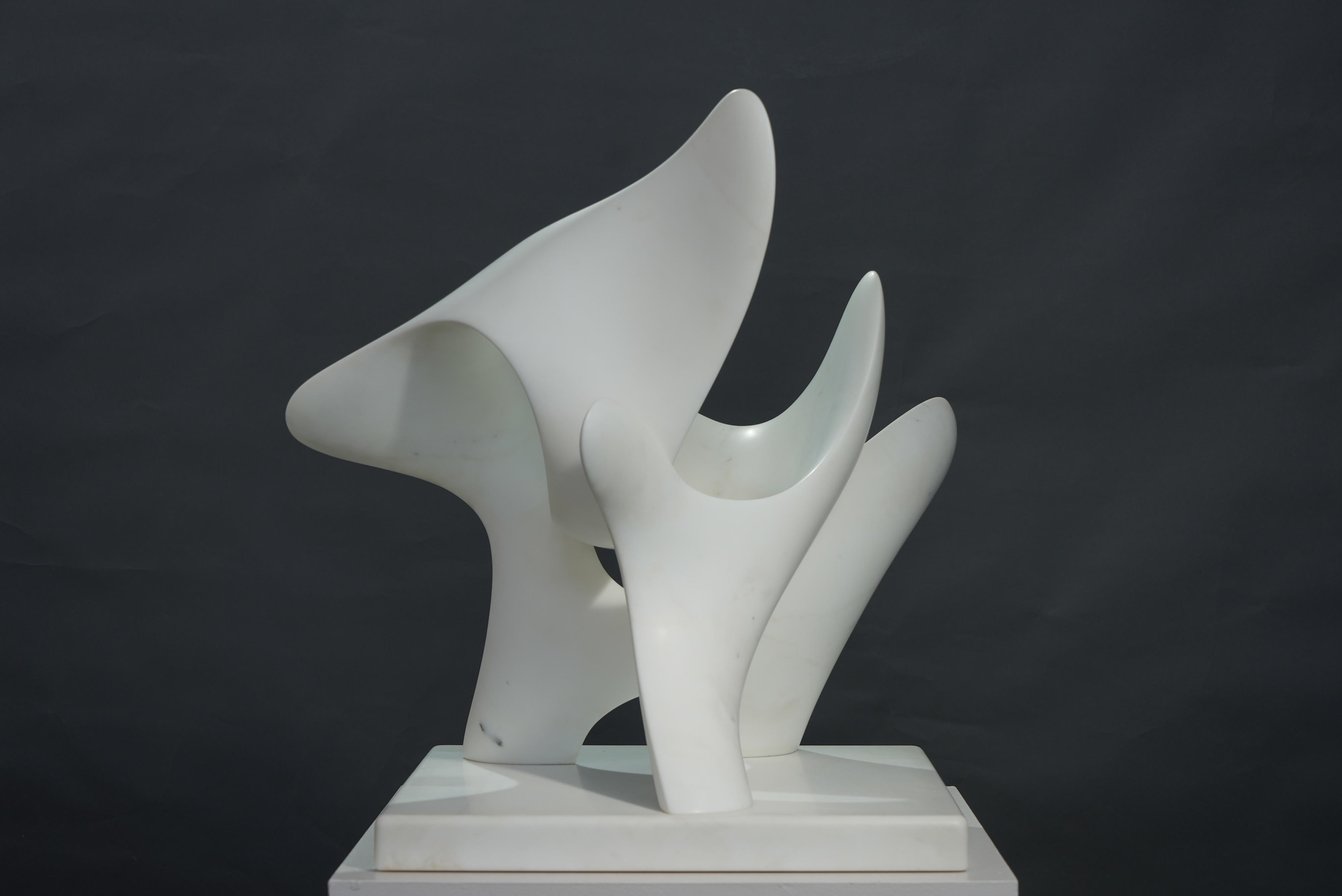 18789, Richard Erdman, Cypraea, 2020