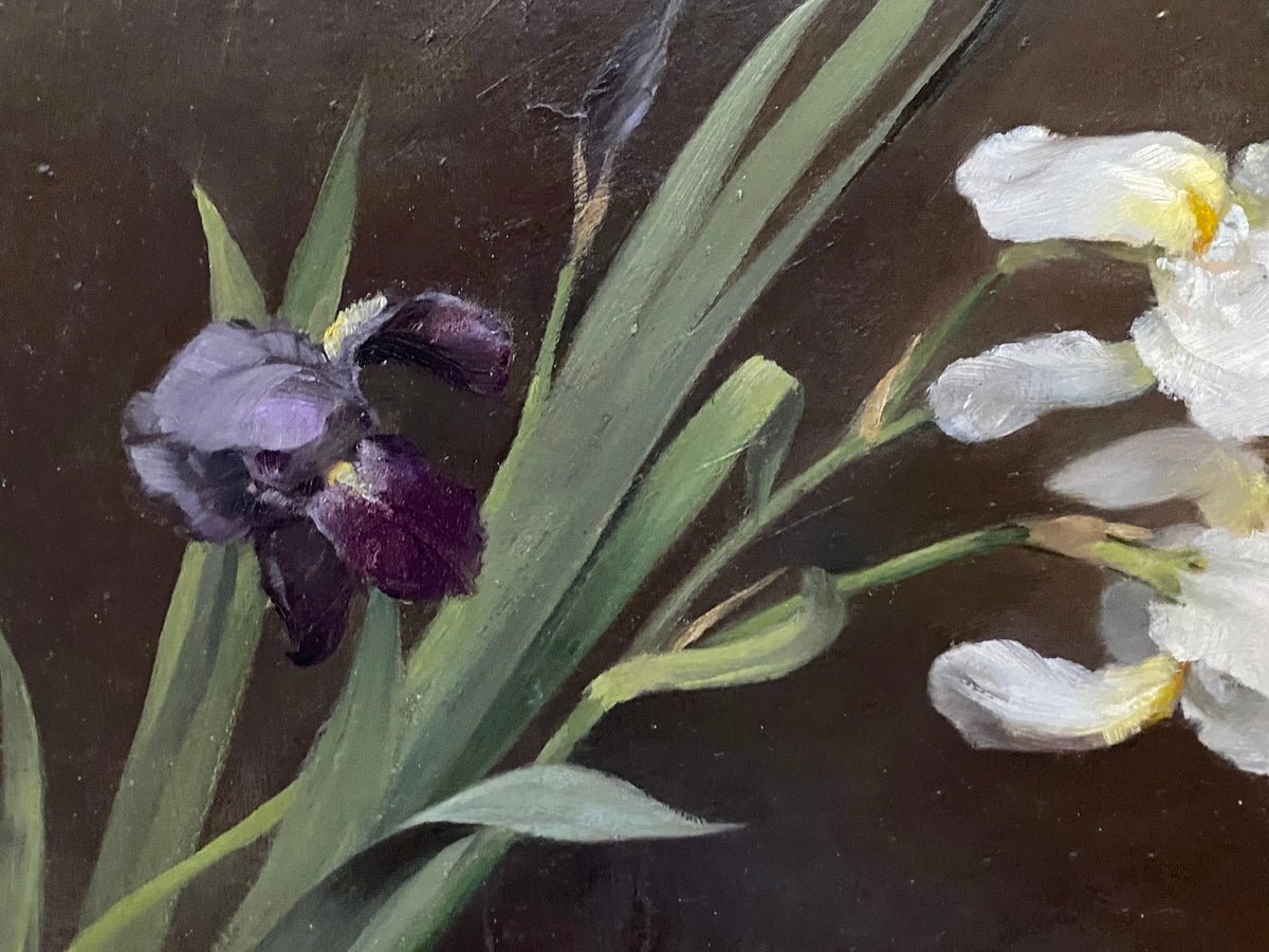 15876, Fannie C. Burr, Purple and White Iris, c. 1895