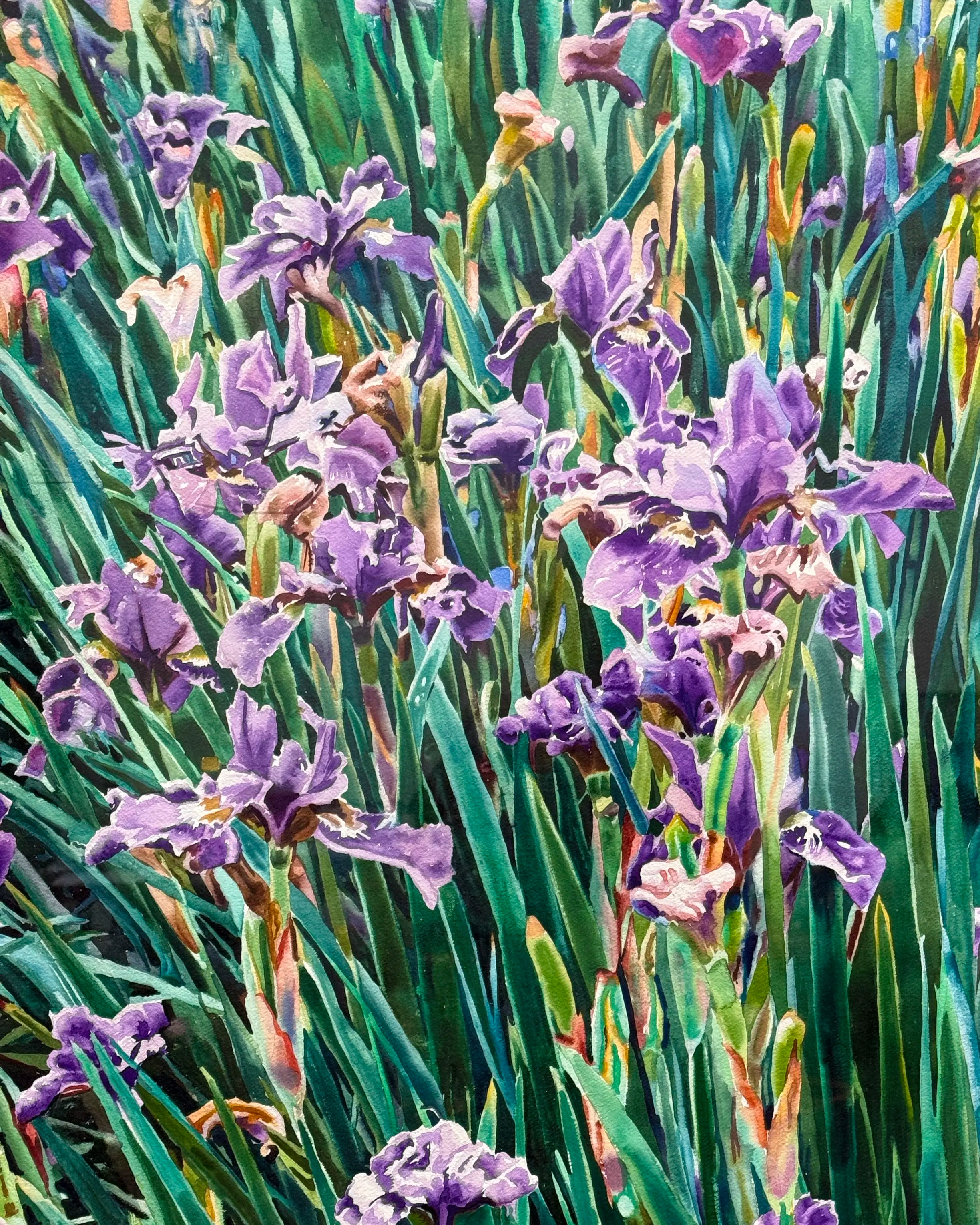 18839, Carolyn Brady, Irises/Chateau Vullierens-Sur-Morges, 1992
