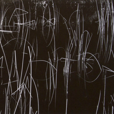 16490, Brett Weston, Reeds, Oregon, 1975