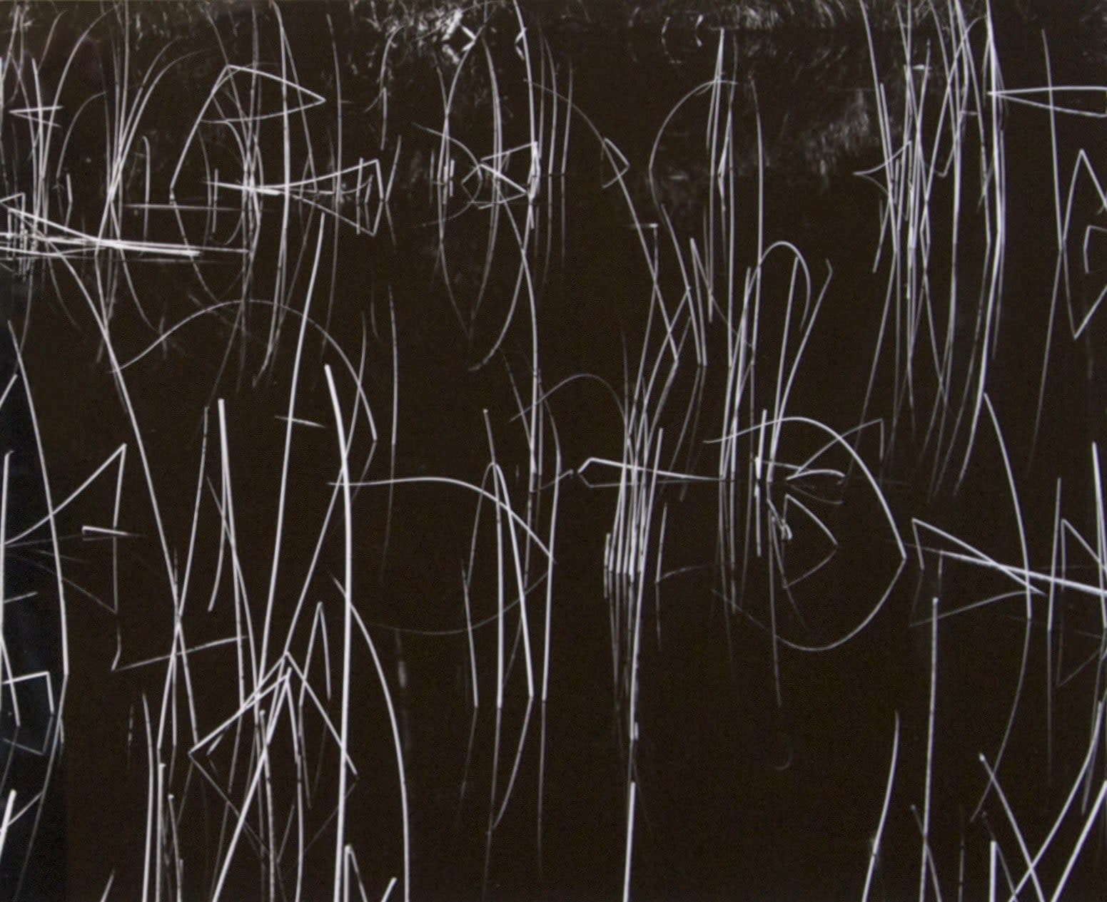 16490, Brett Weston, Reeds, Oregon, 1975