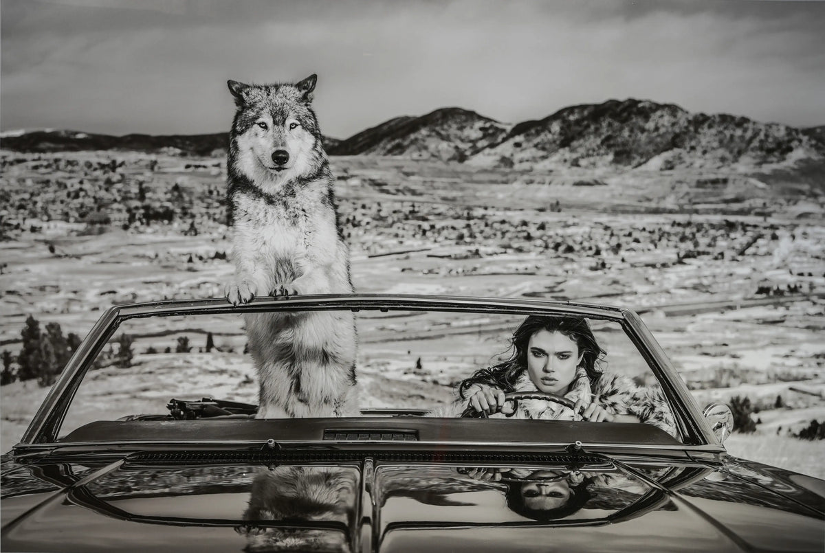 18930, David Yarrow, The Richest Hill in the World, 2020