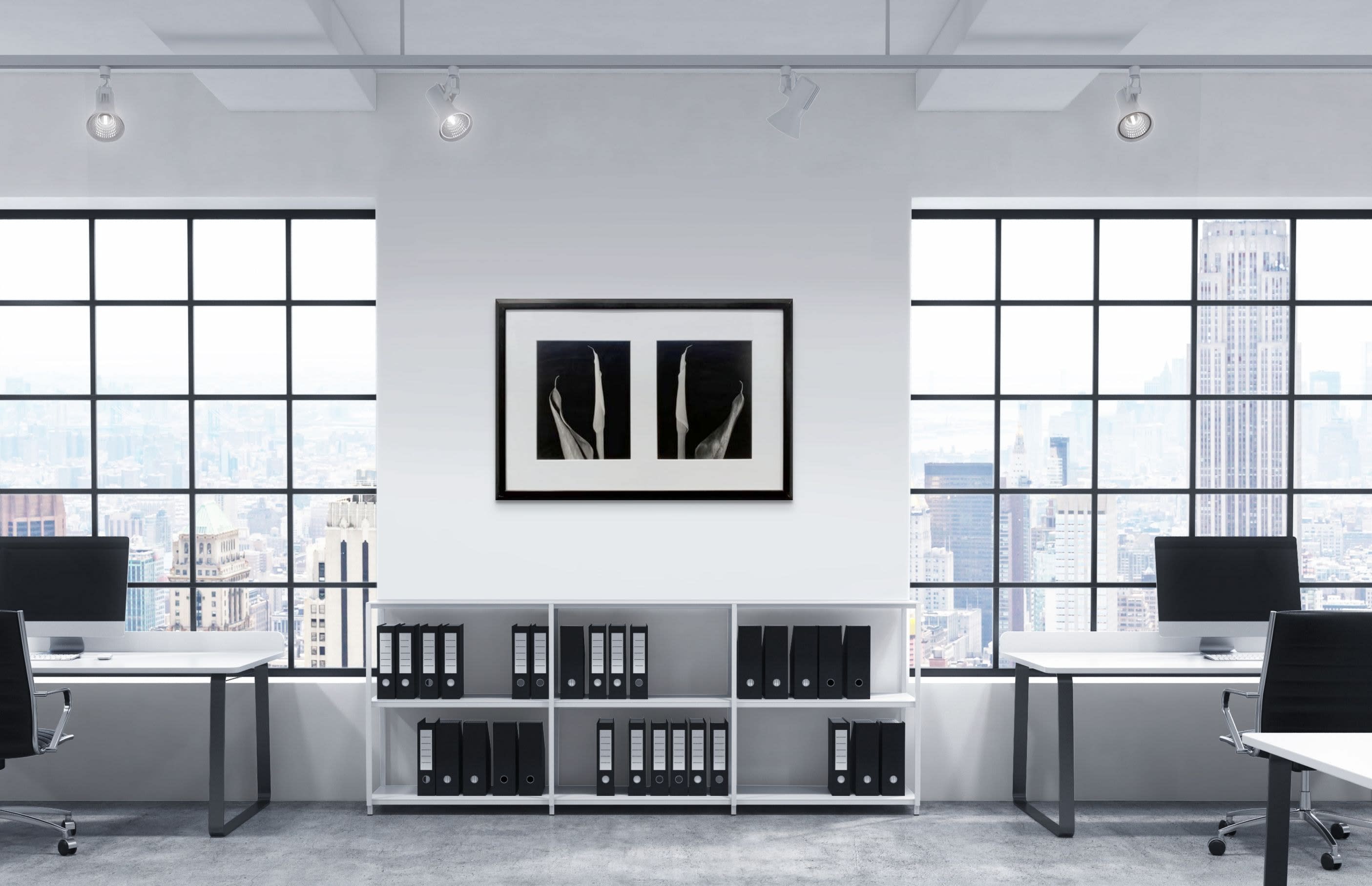 16486, Vincent Vallarino, Calla Diptych, 1987
