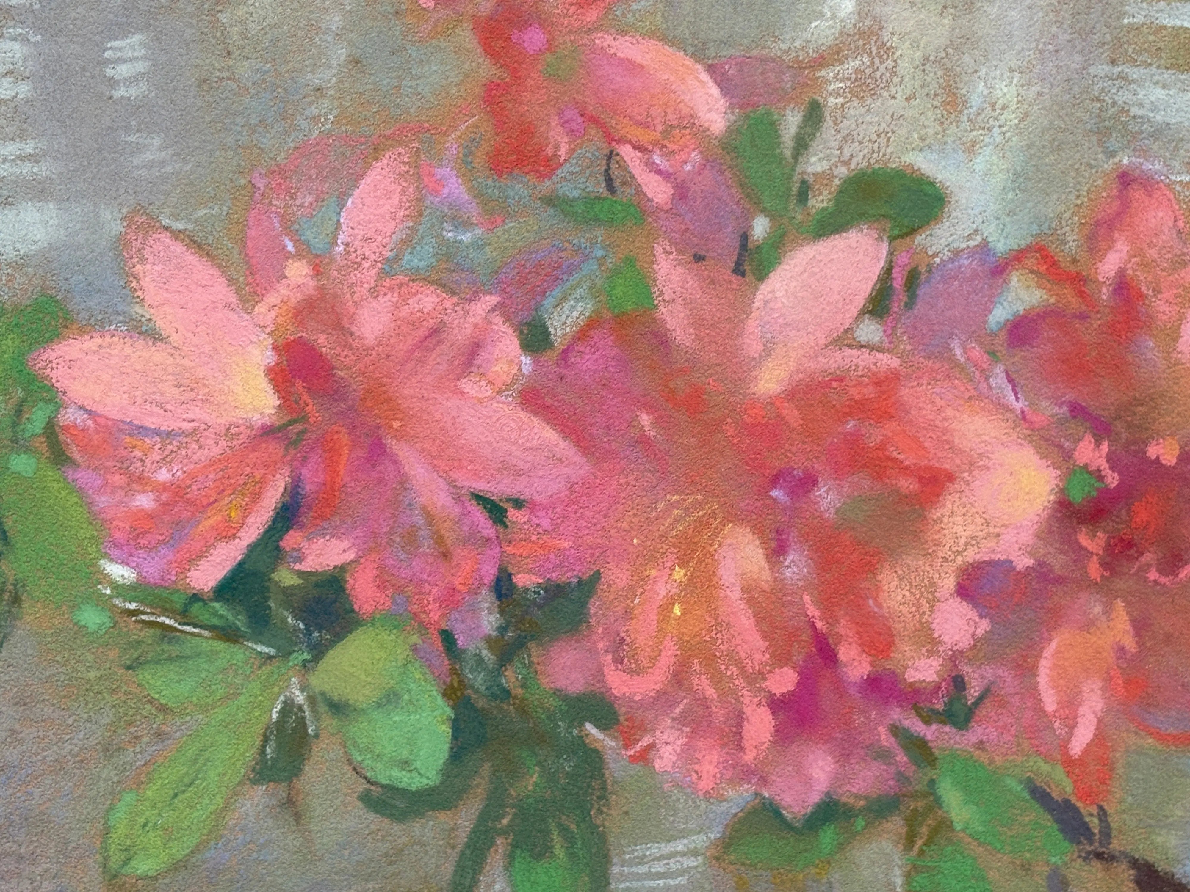 16336, Laura Coombs Hills, Azaleas, circa 1935