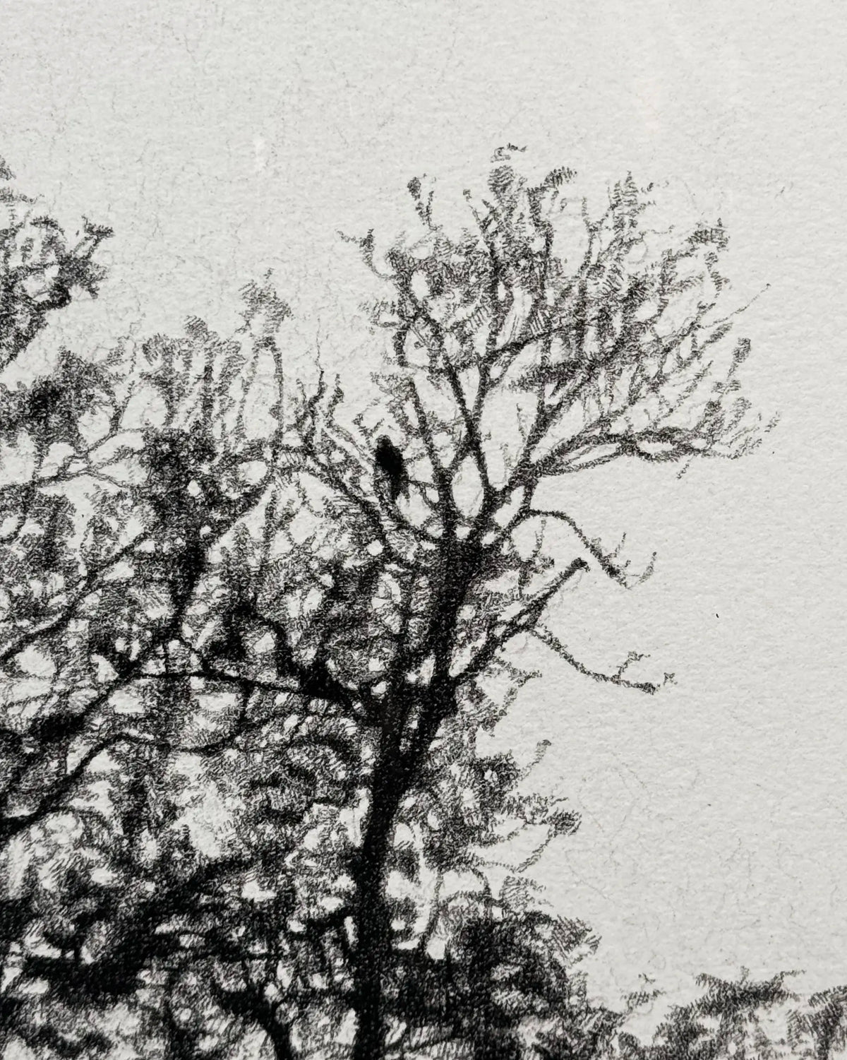 17086, Sarah Gillespie, Bend in the River, 2014